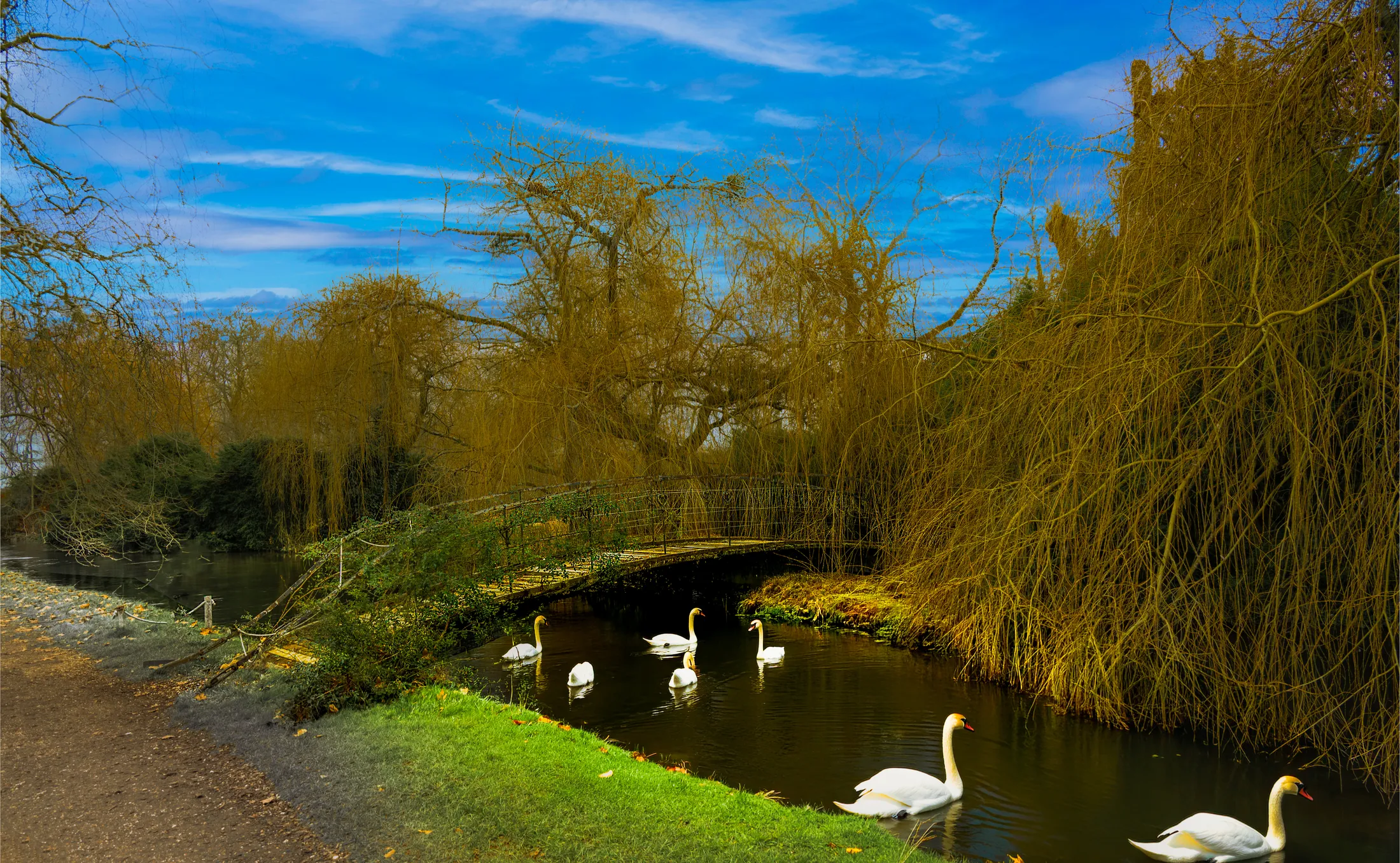 Pastoral Scene at Mottisfont House...