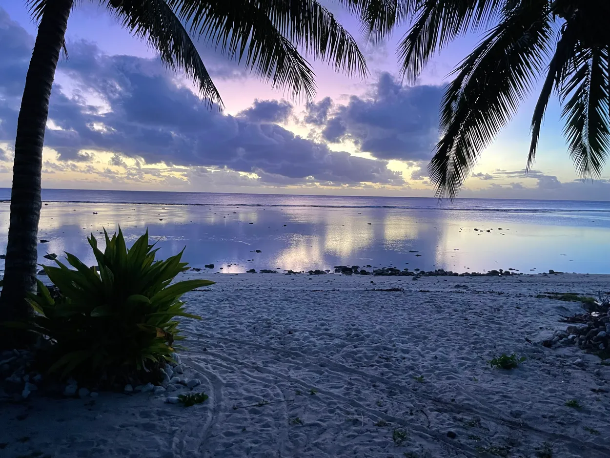Through the Palm trees Rarotonga