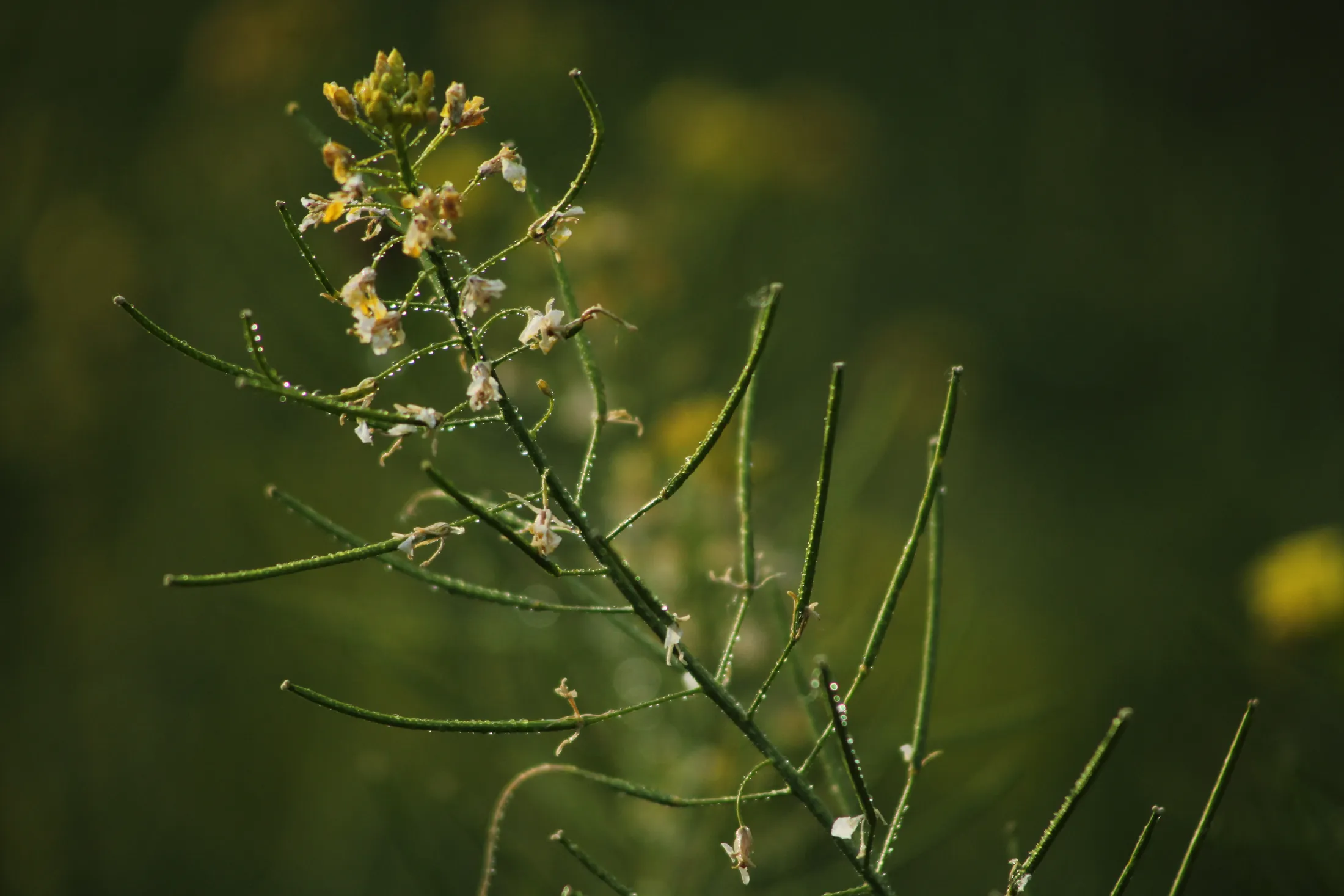 Untitled image