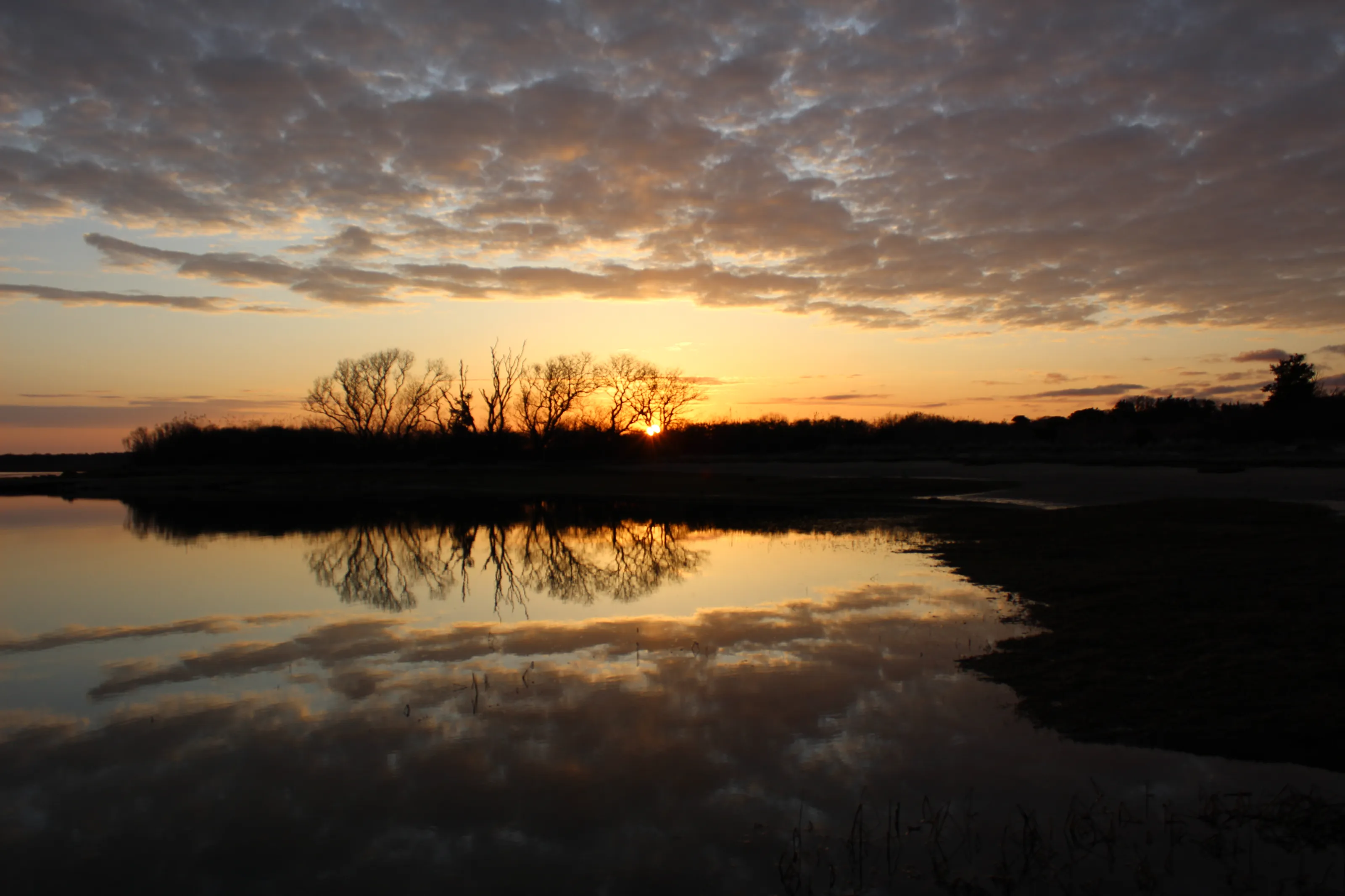 Sunrise