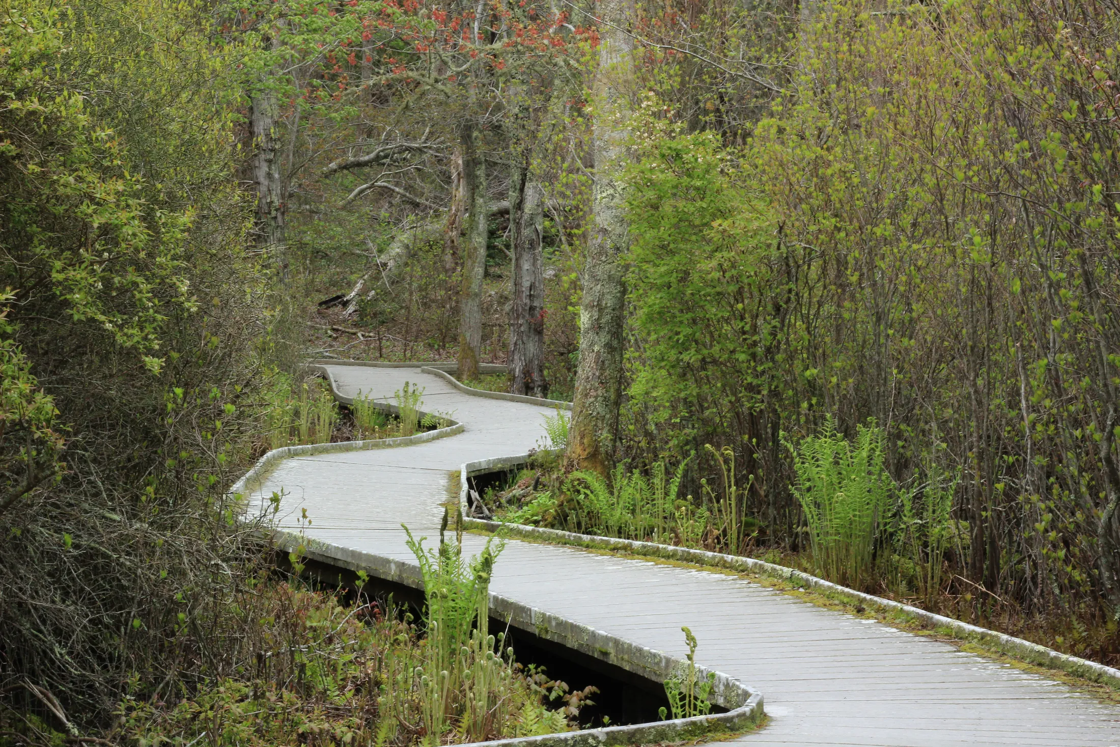 Walkway