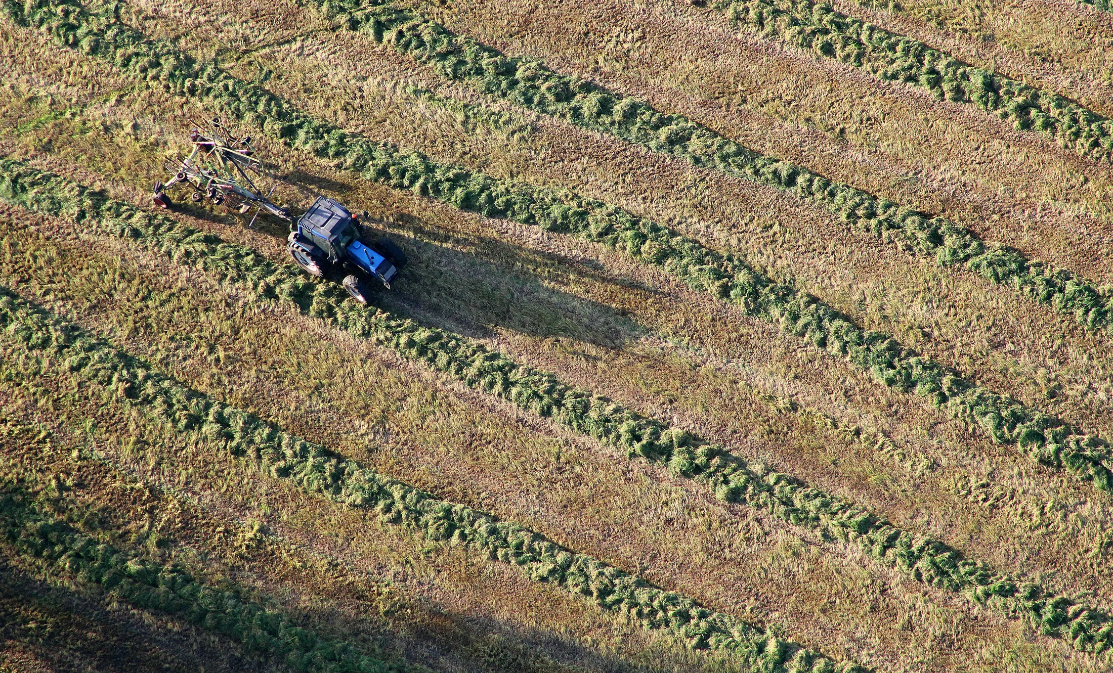 Tractor