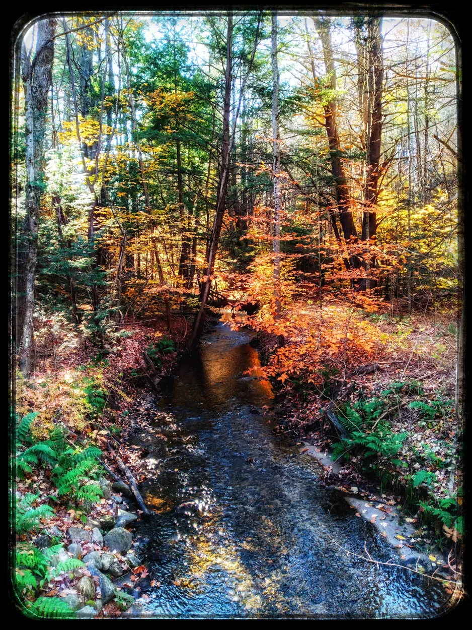 Up the Creek Without a Paddle