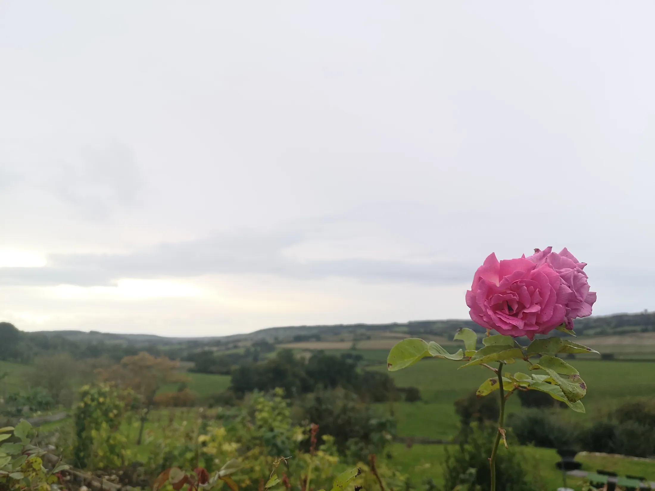My favourite view