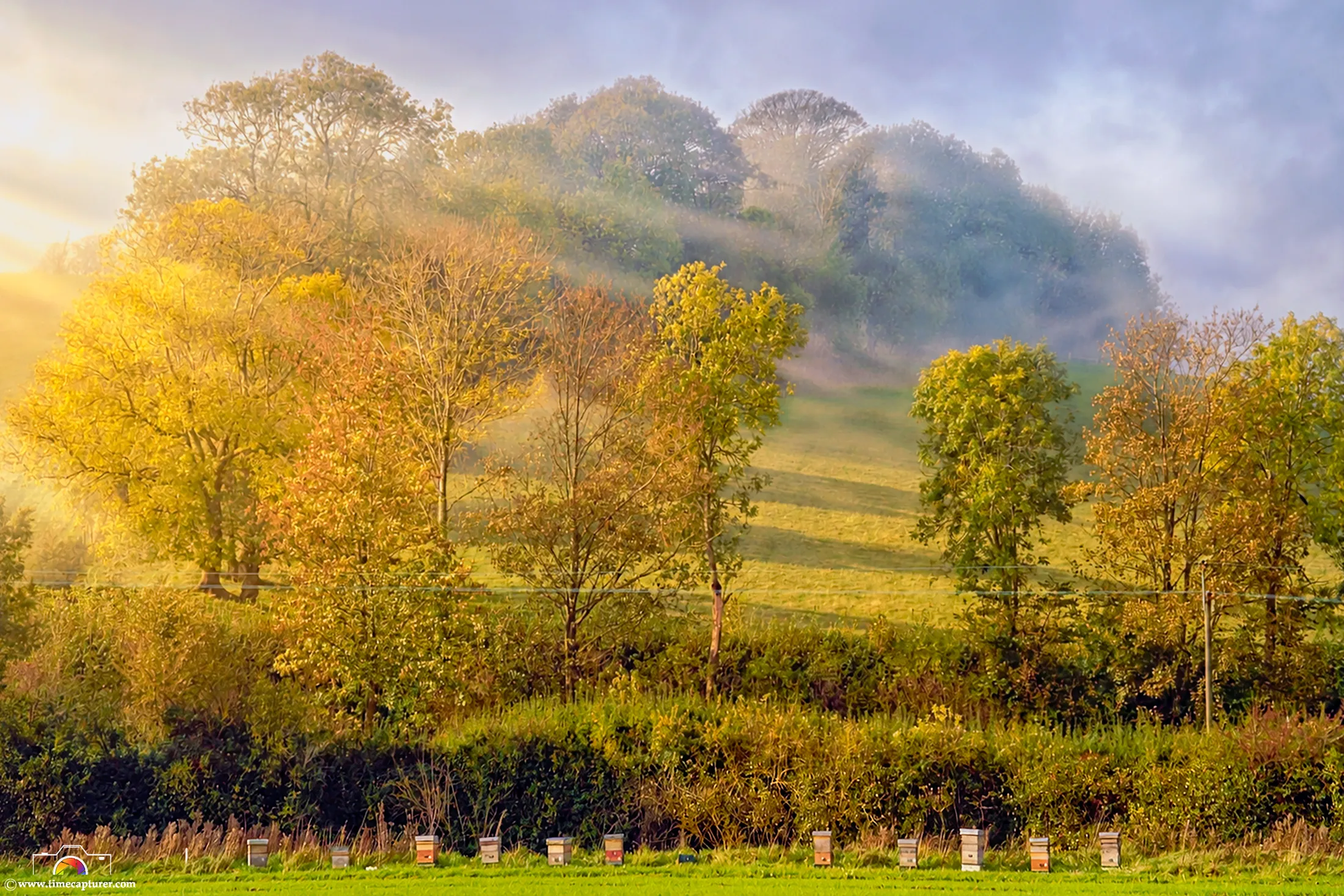 Autumn Beehives