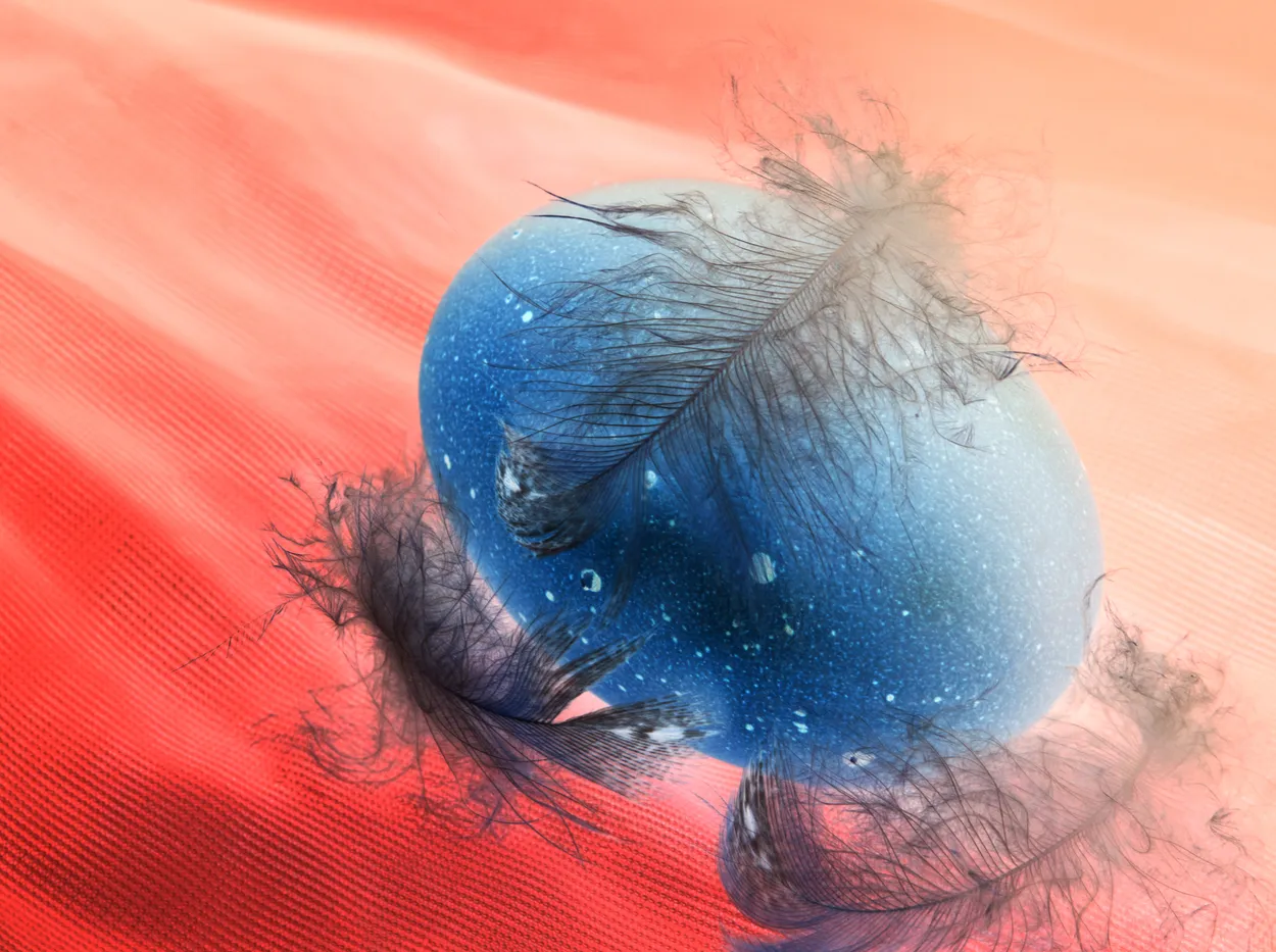 Egg inverted