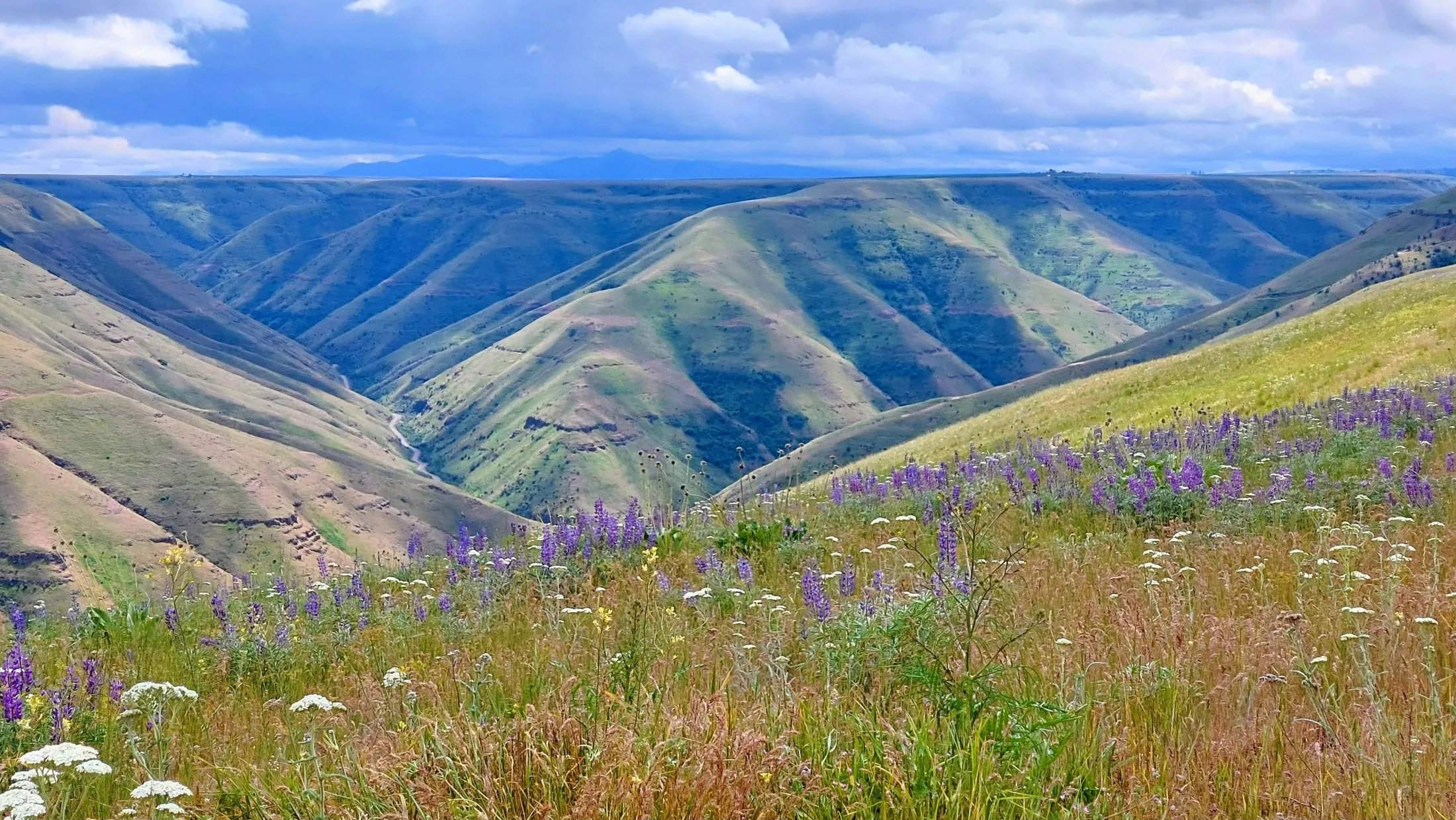 Snake River Valley in Spring