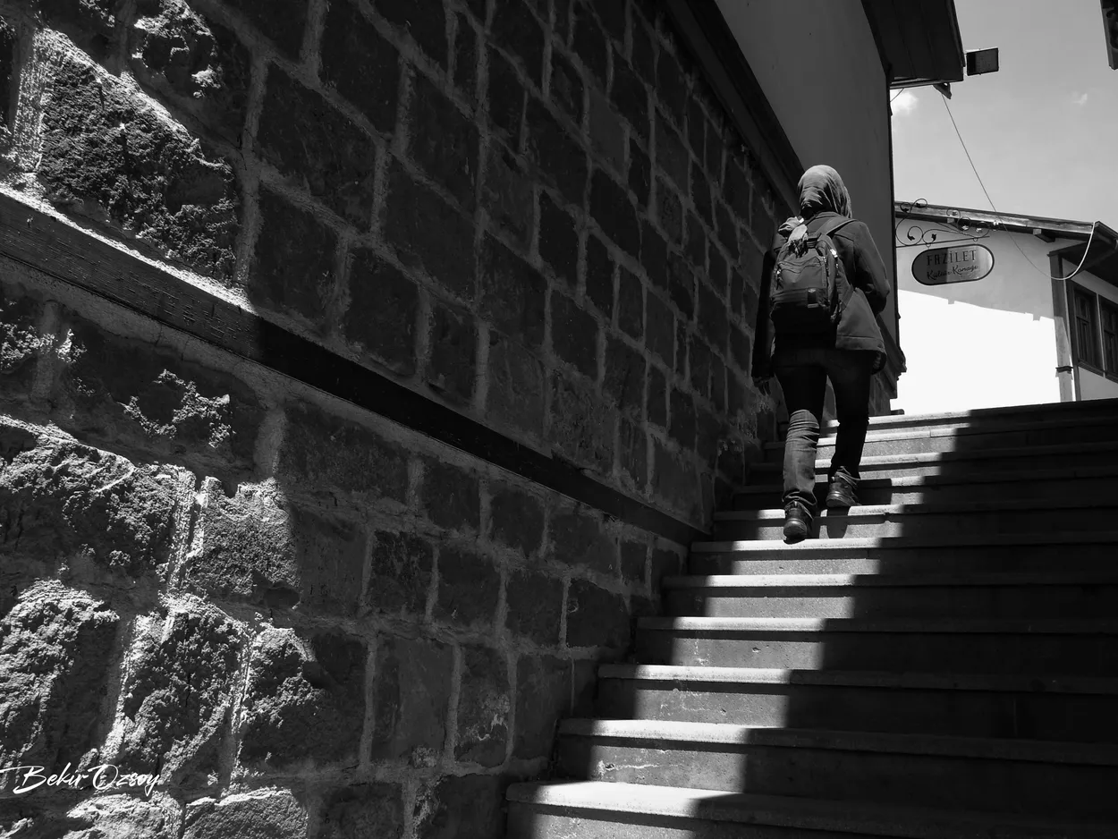 Between Shadow and Becoming ......