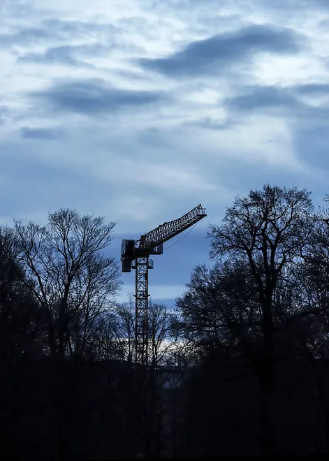 Crane through trees