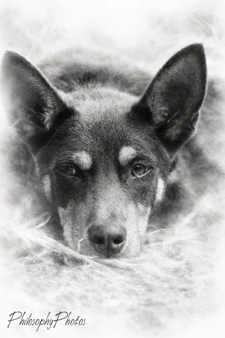 Untitled image