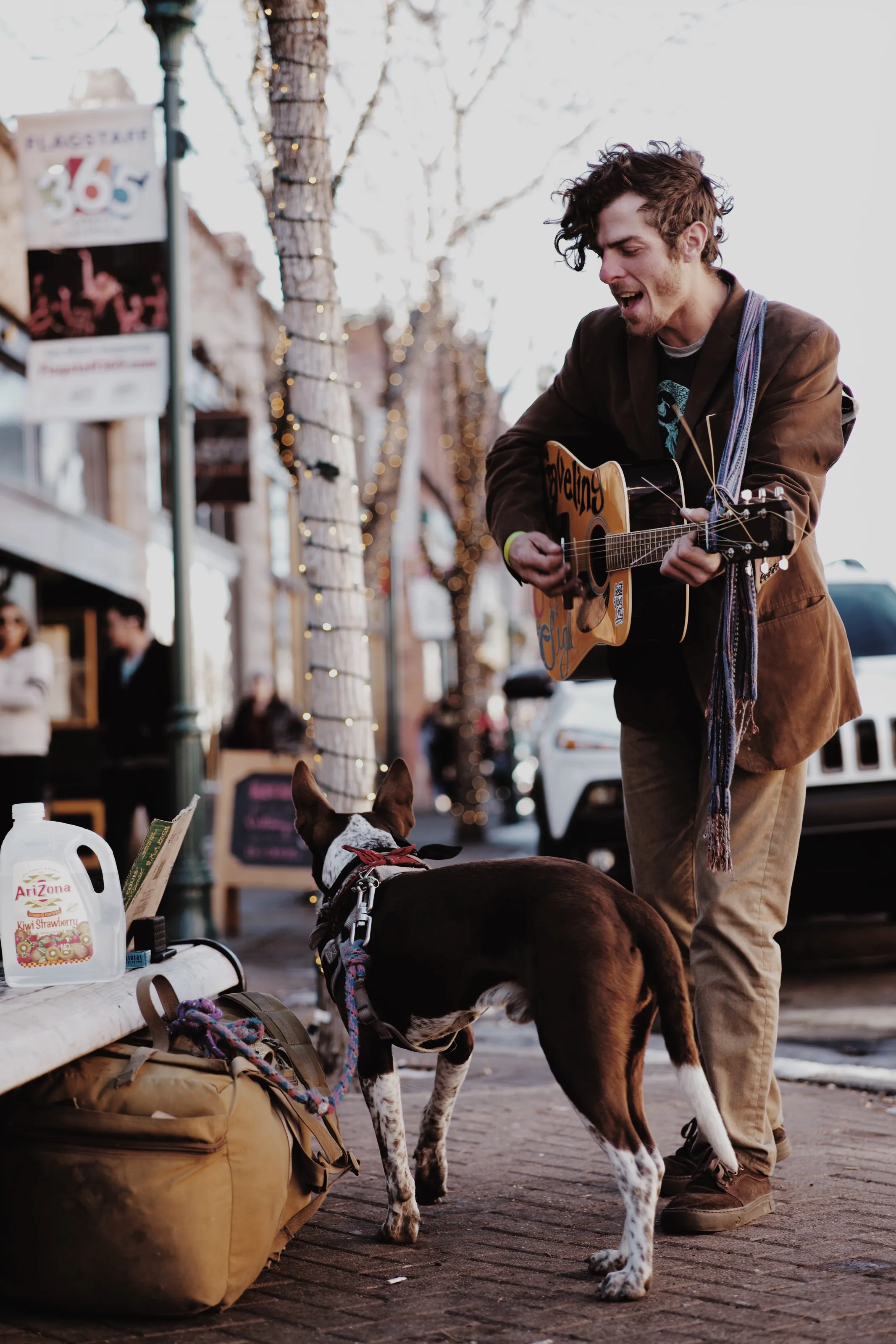 Just a man with his dog trying to make a living