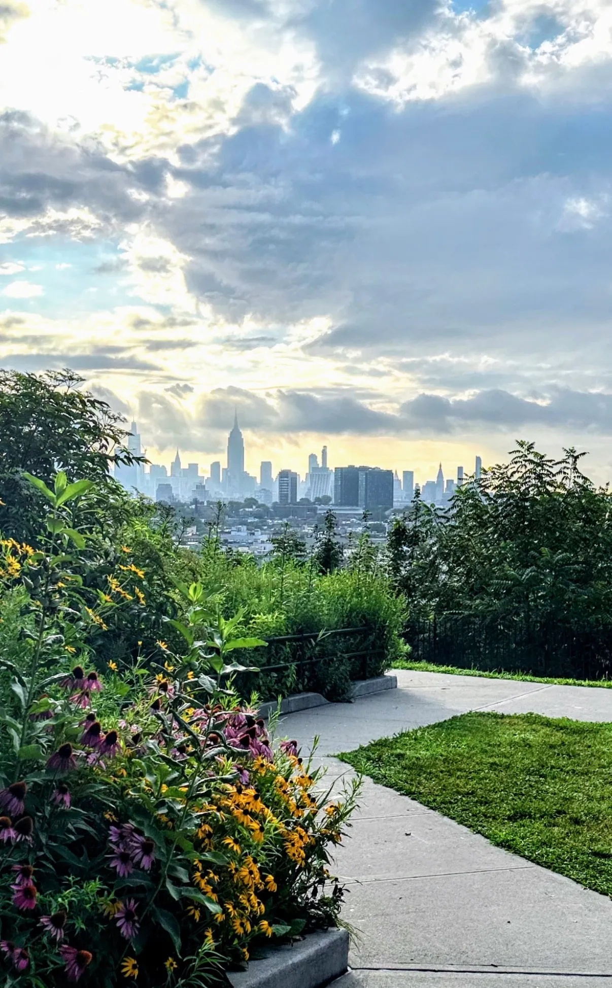 Flowers and Skyline
