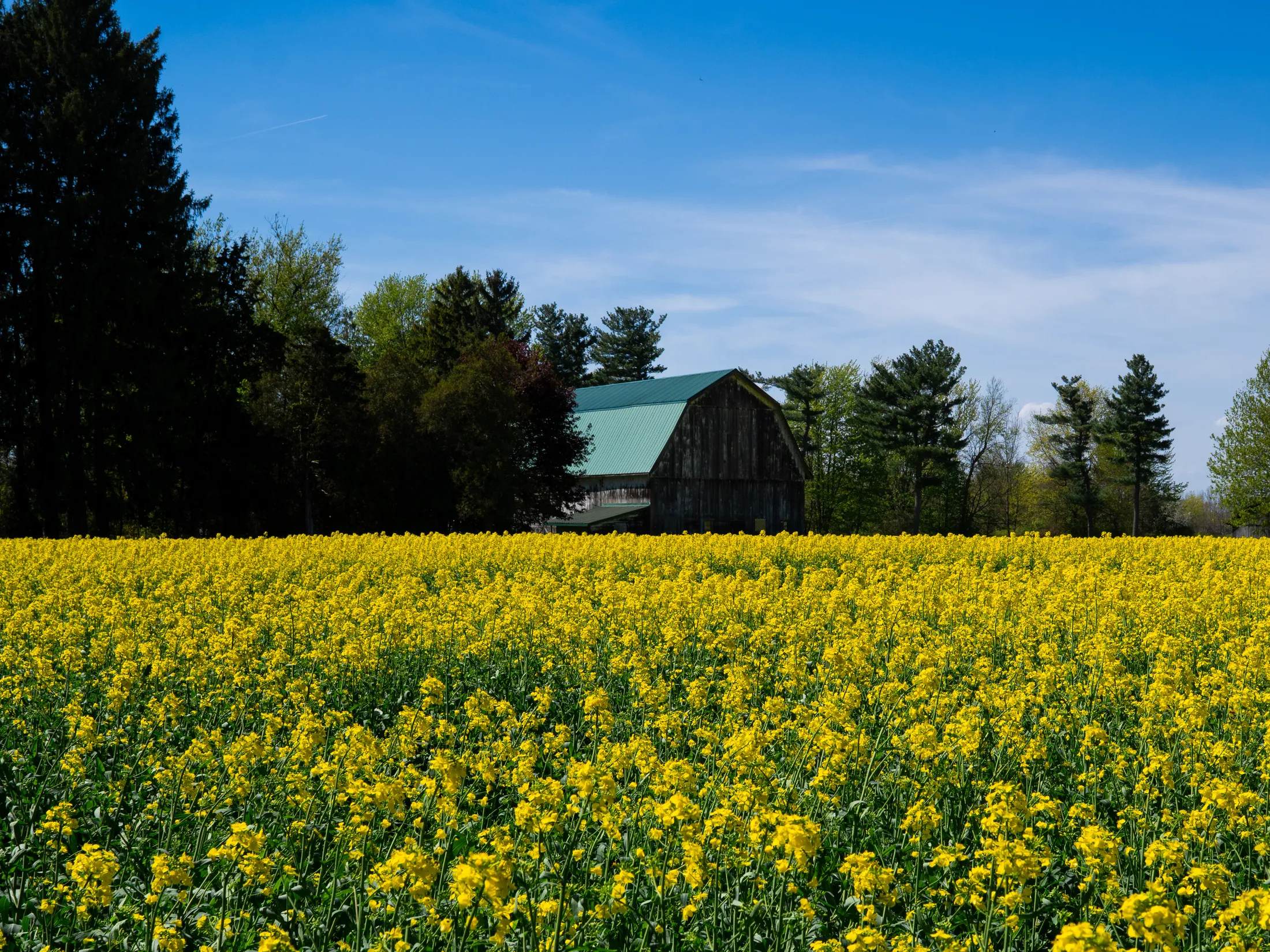 Kingsville, Ontario, Canada