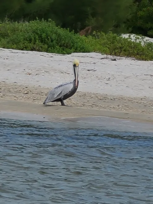 Relaxing Day at the Beach