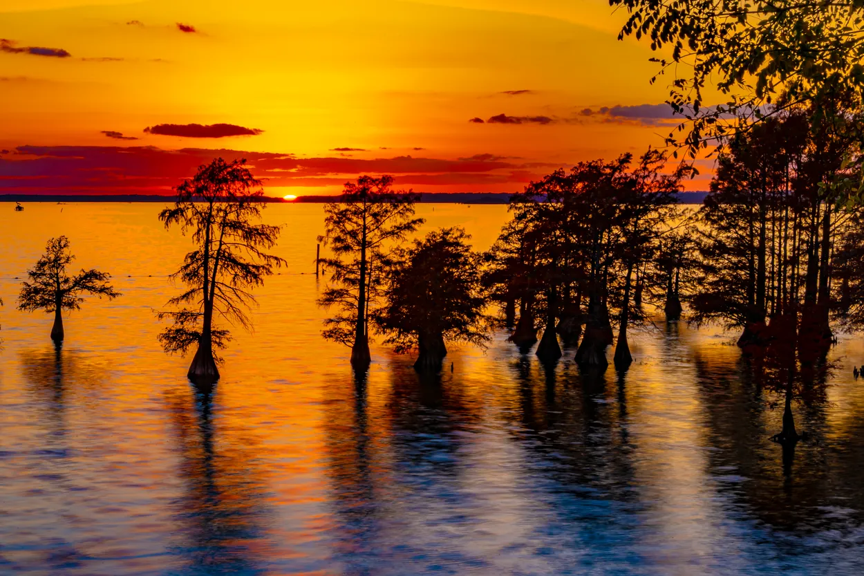 Caddo Lake sunset
