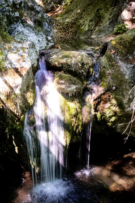 Shadows on a Stream