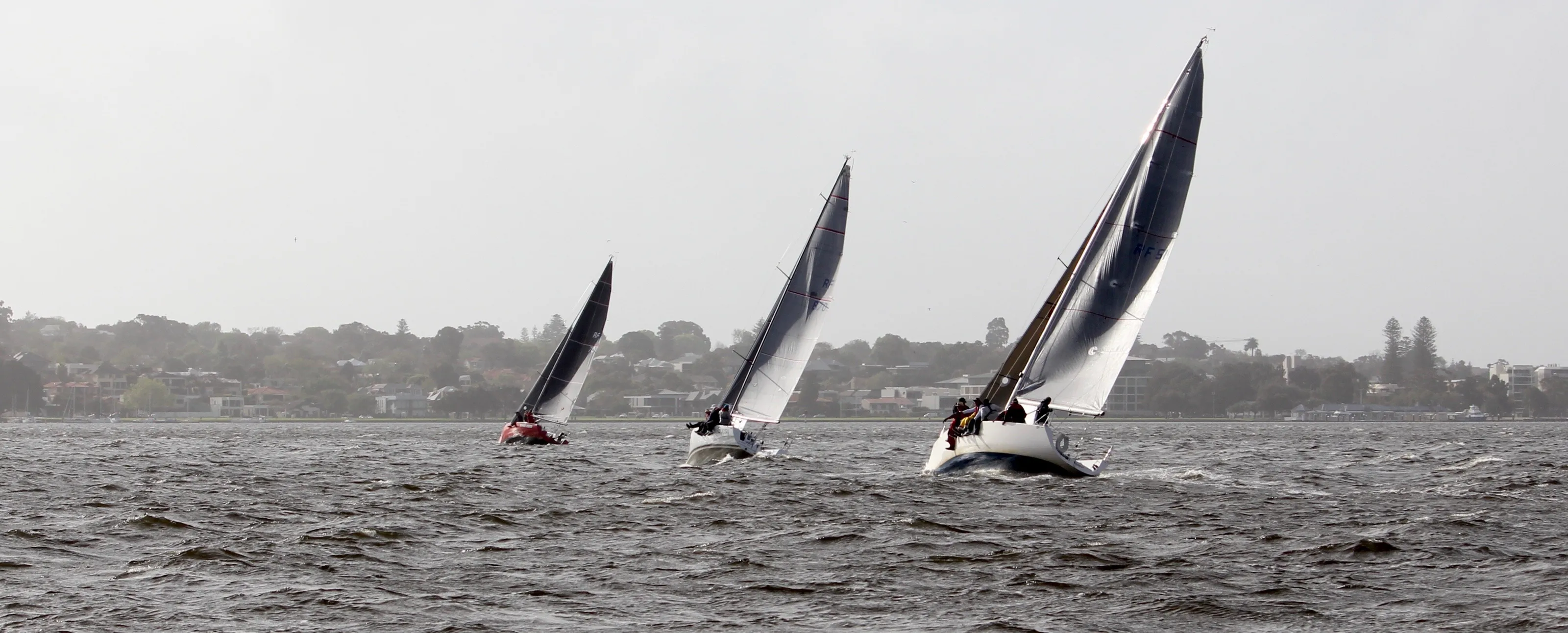 Sailing on the Swan
