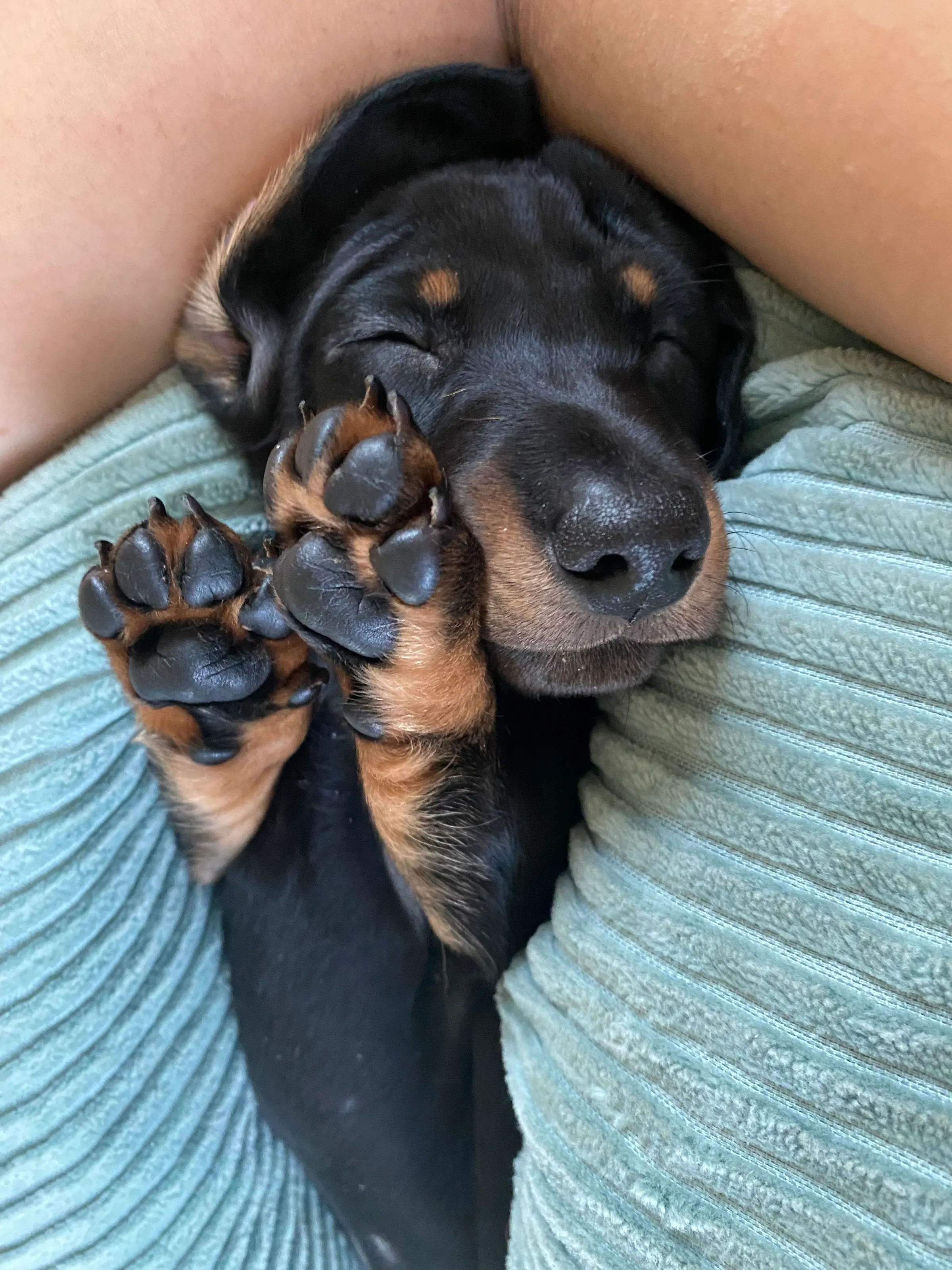 Sleepy Feet