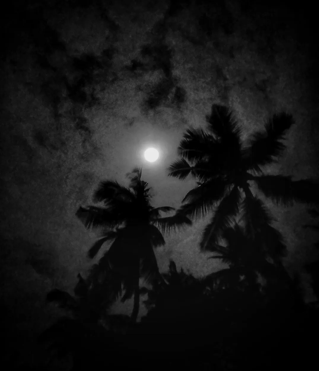 Under the moon of love...