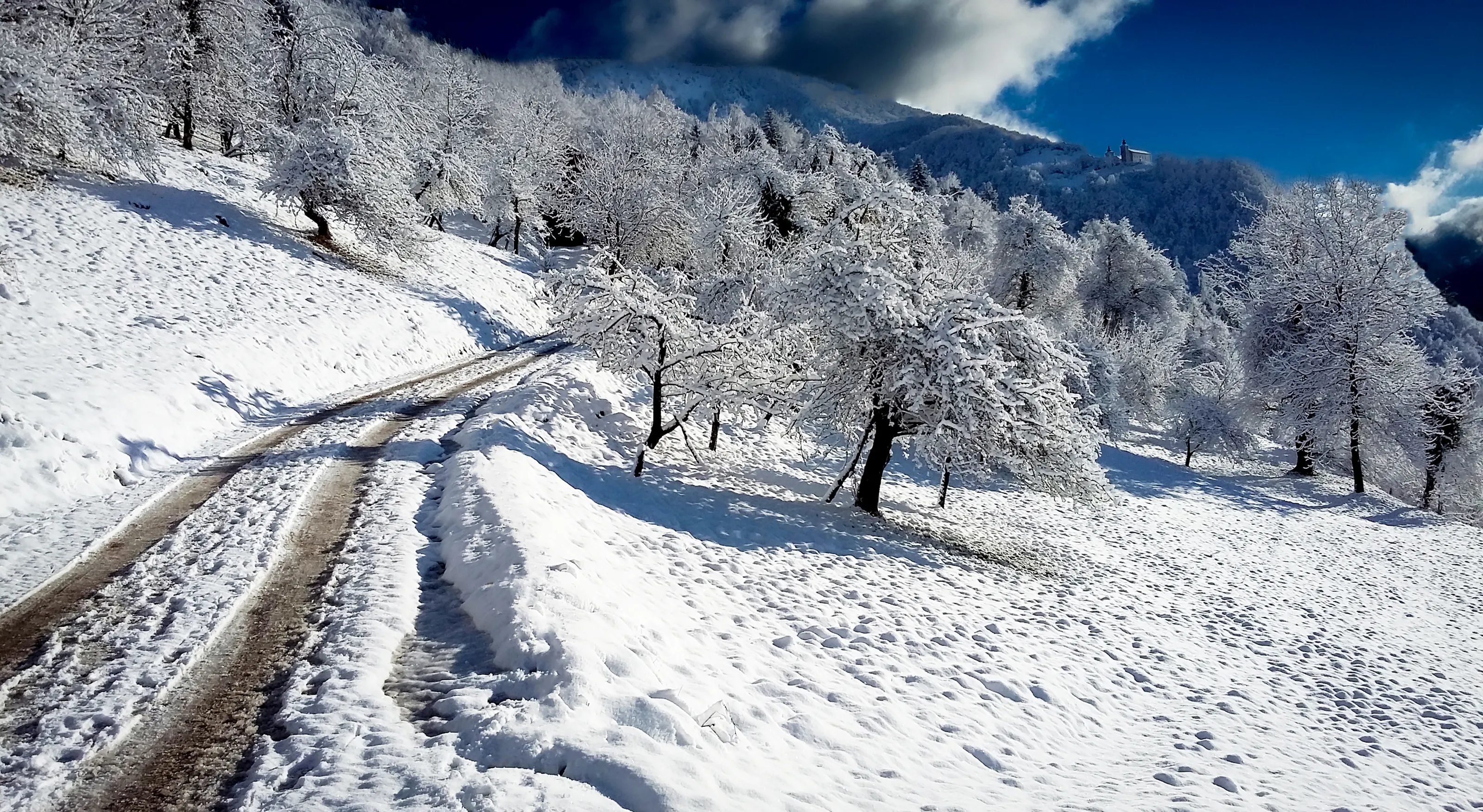 Path in snowy landscape