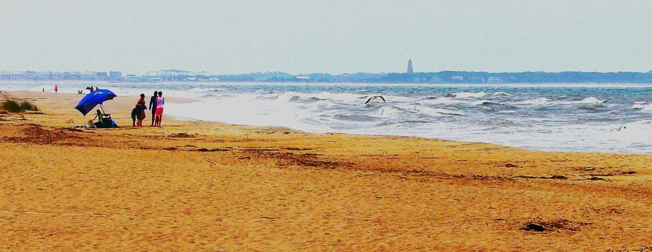 Oceanview Bald island in Background