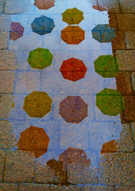 Wet umbrellas