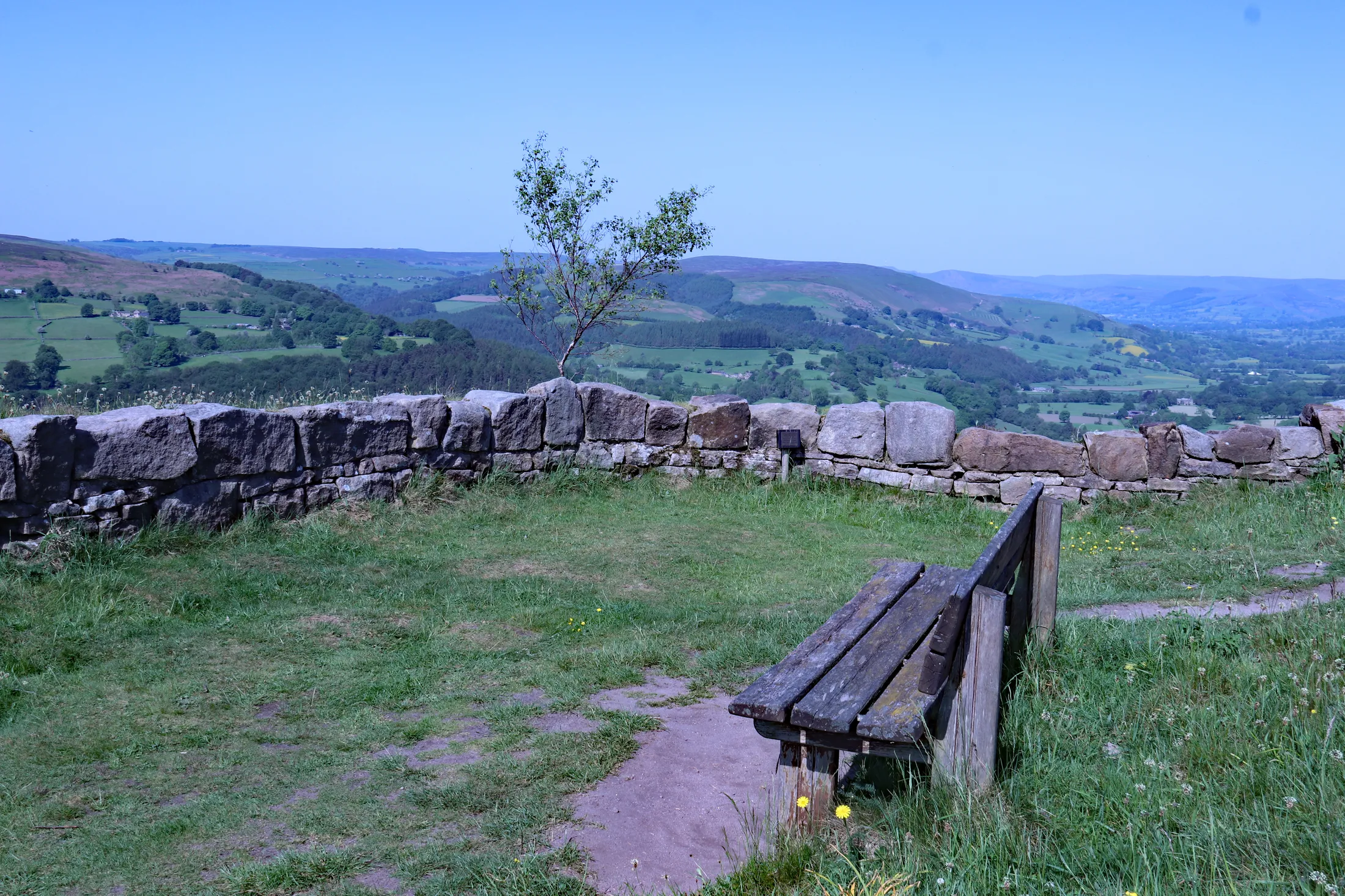 Bench with a view!