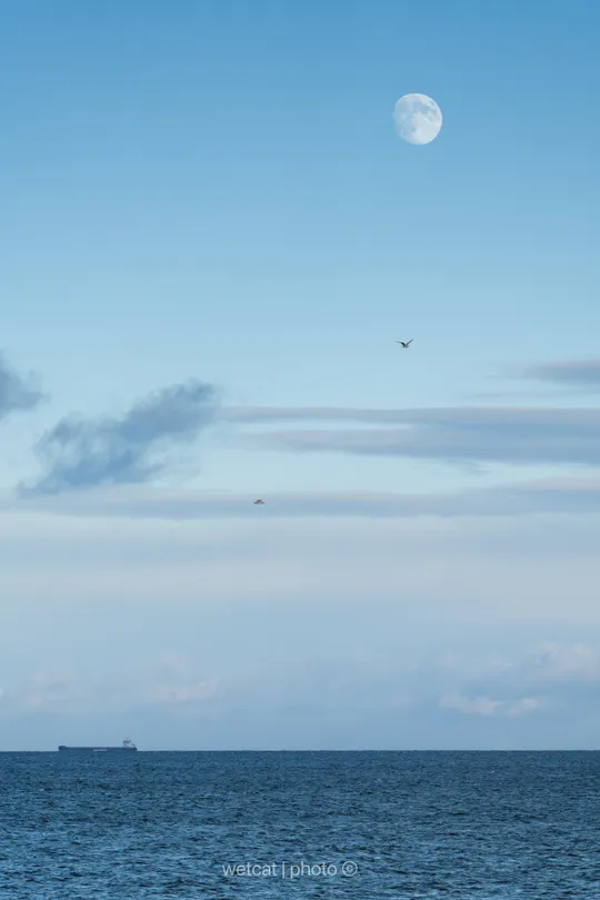 Moon Over The Ocean