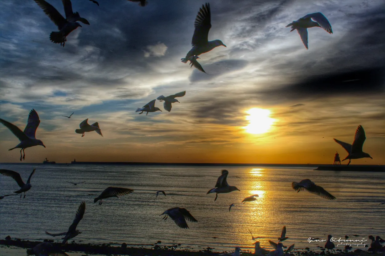 Sunrise