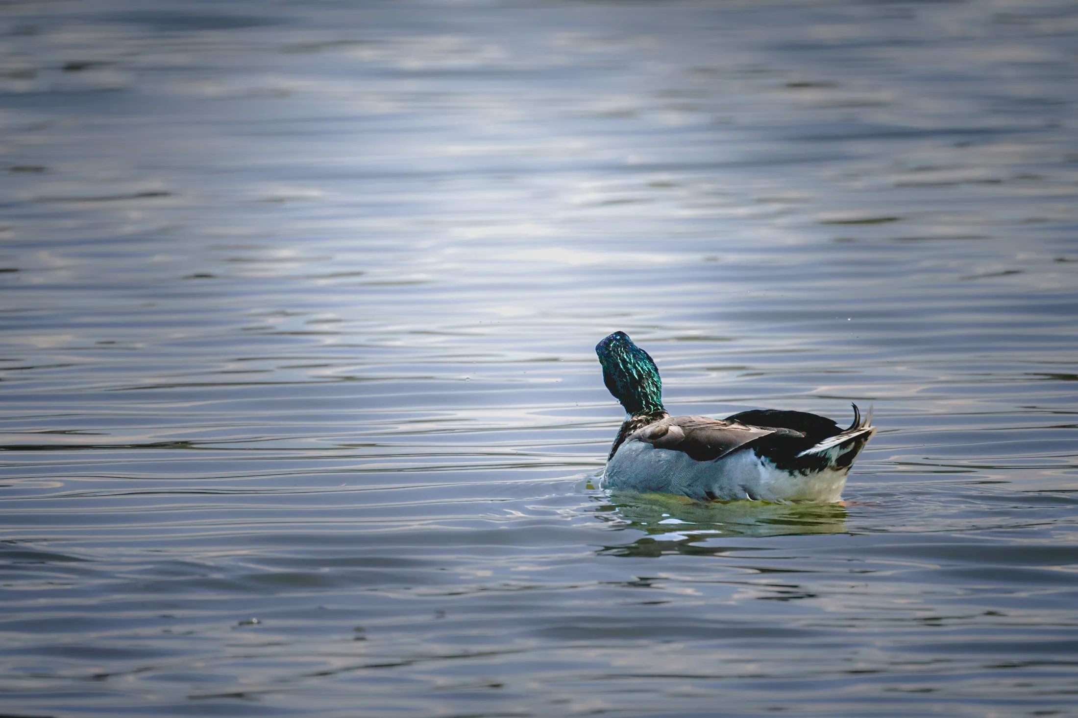 Ripples ahead