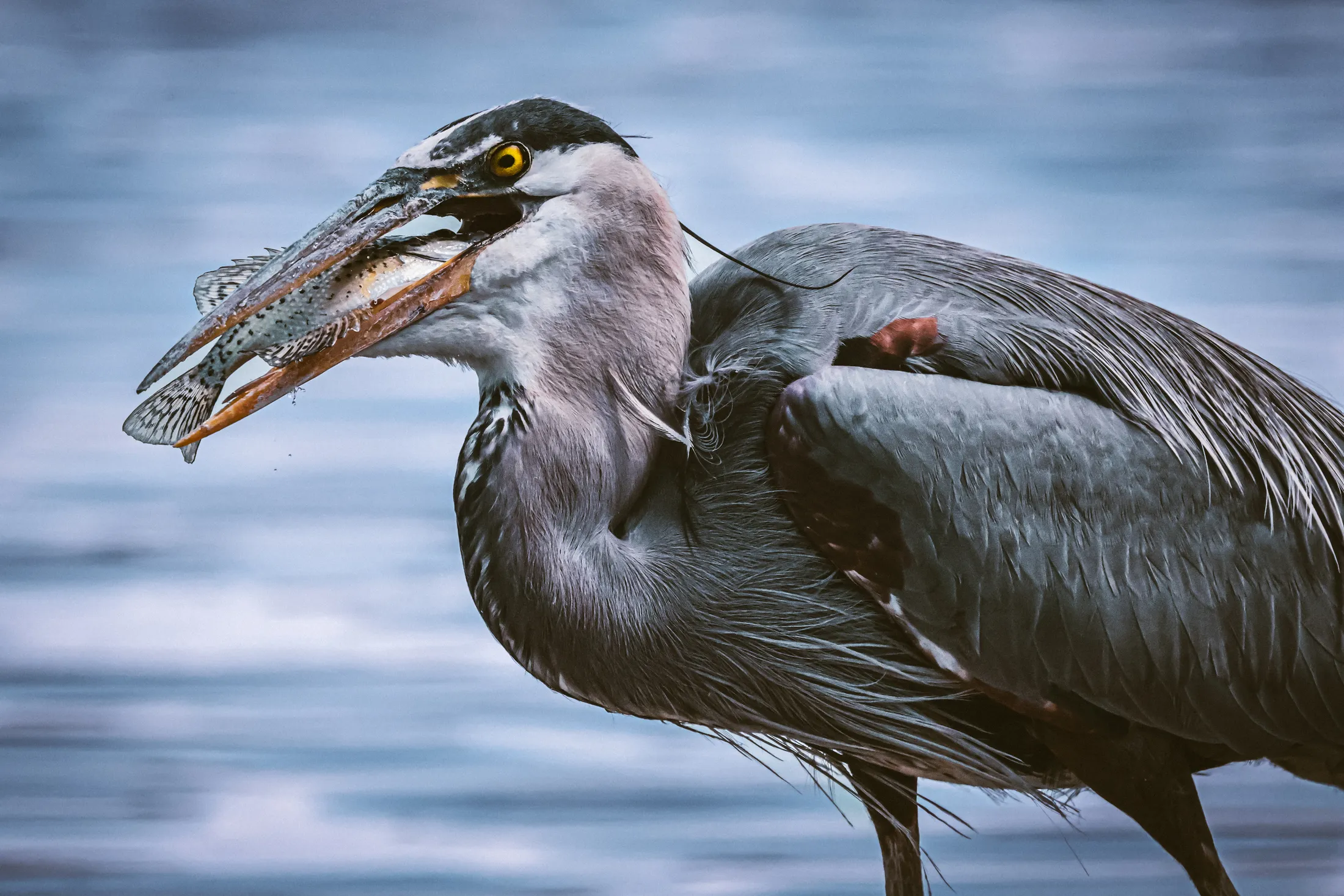 Caught Mid-Bite