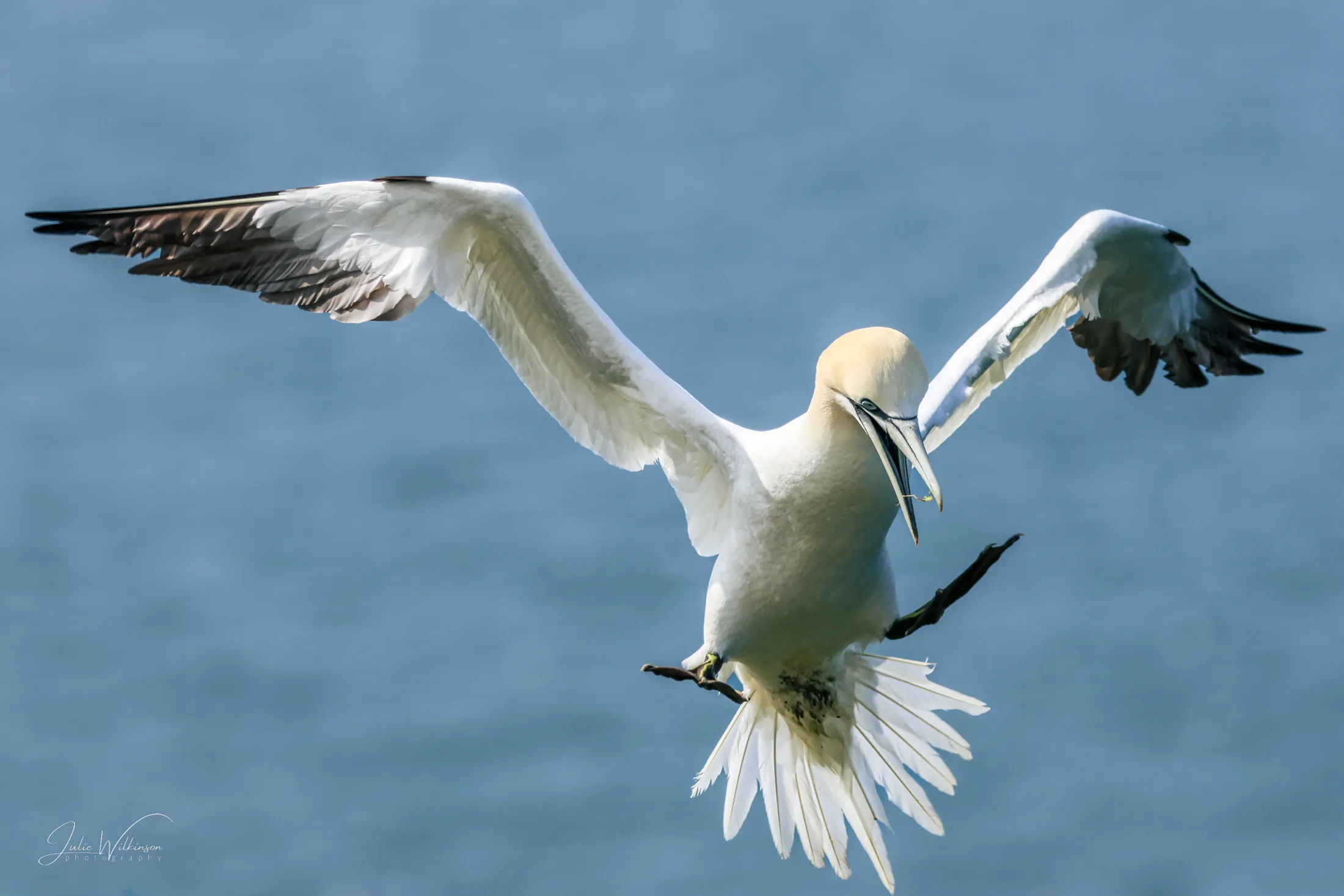 Landing Gear Engaged