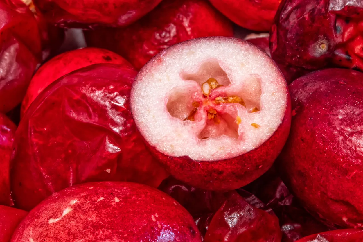 Cut Open Cranberry