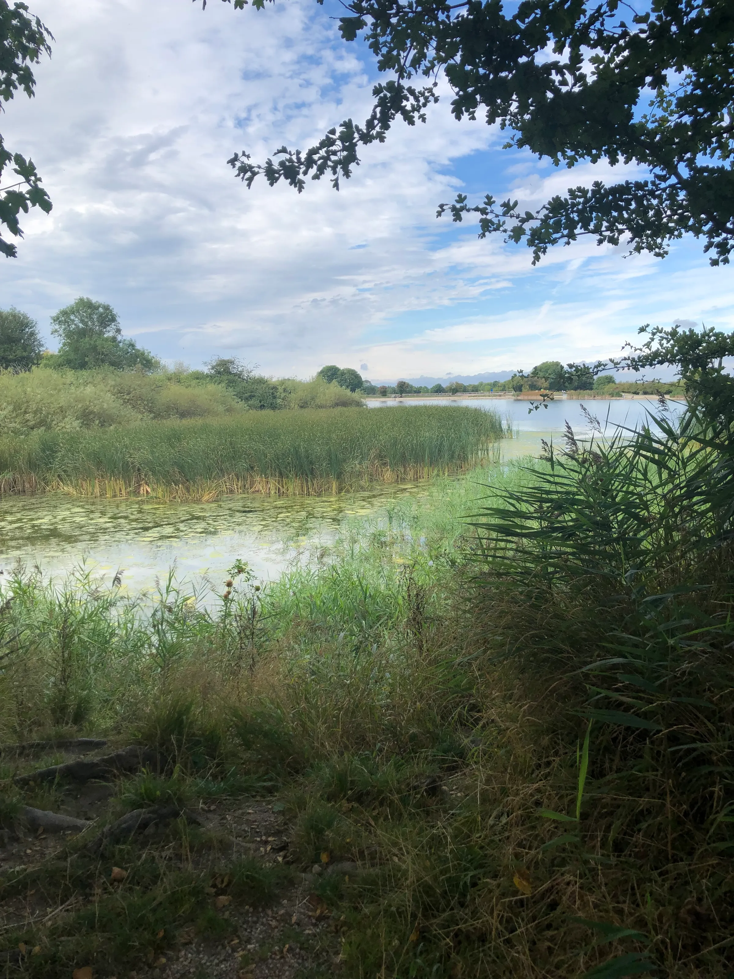 Along the Canal
