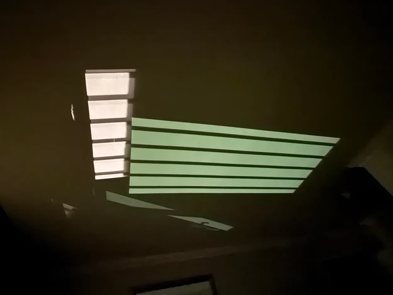 Entry 29126179
