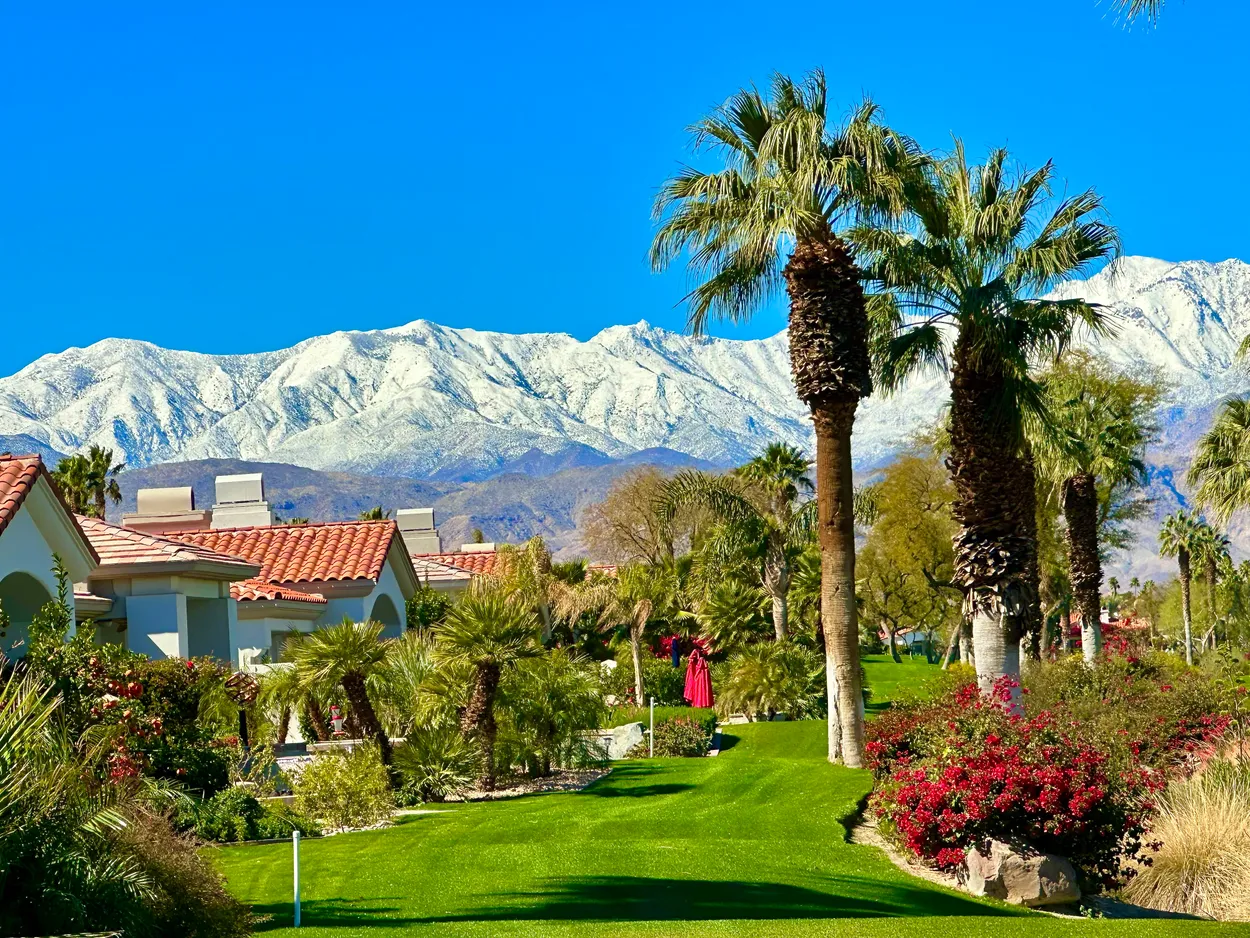 Winter in Palm Desert