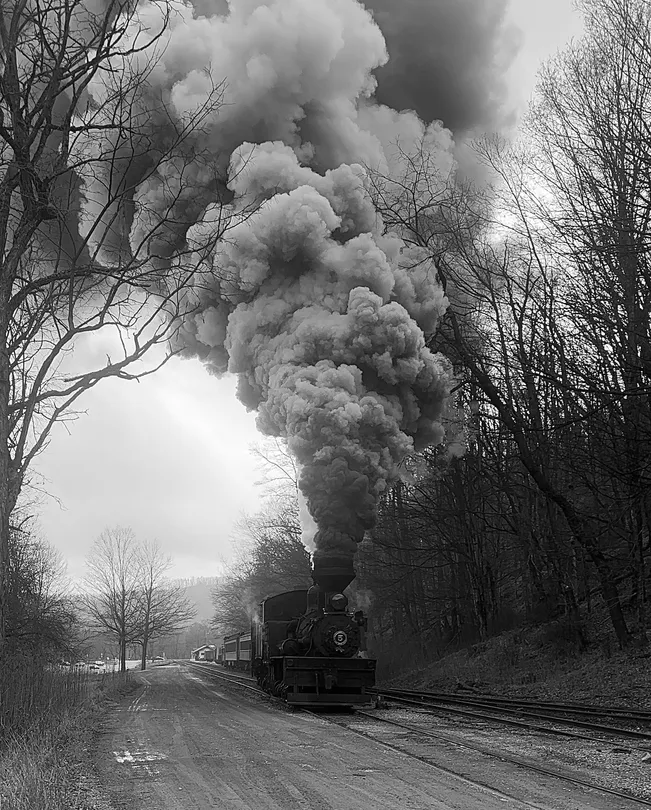 Cass Train
