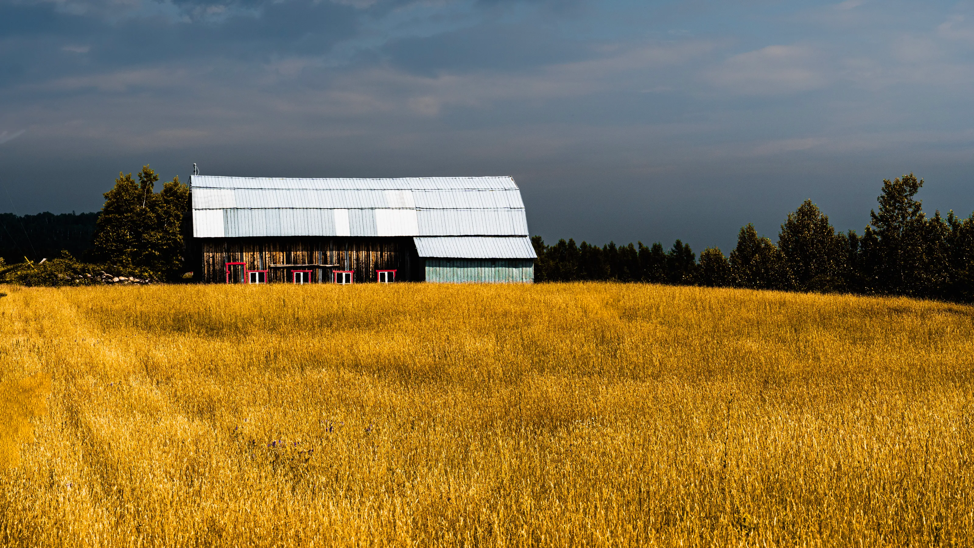 barn n field