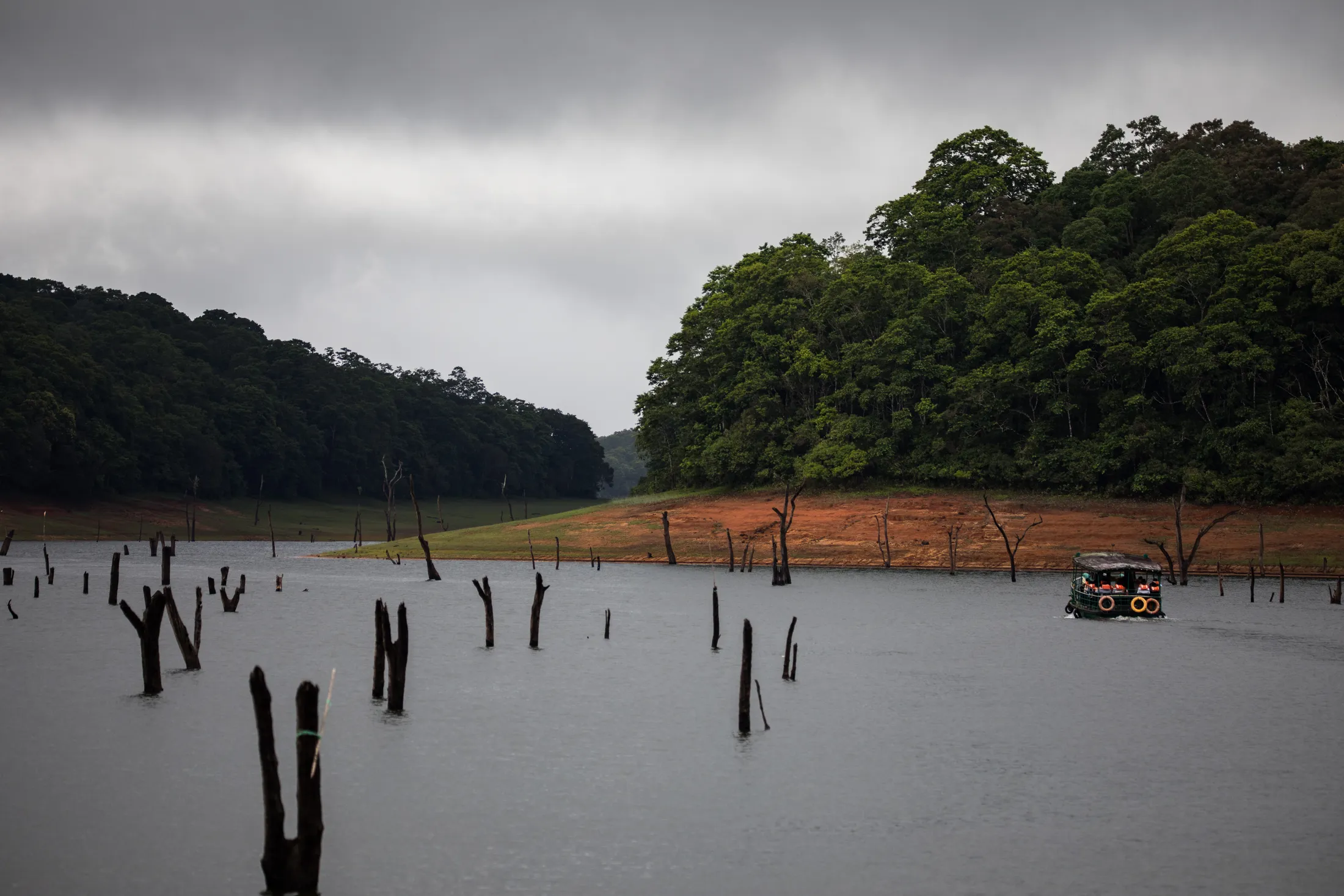 Thekkady Boating