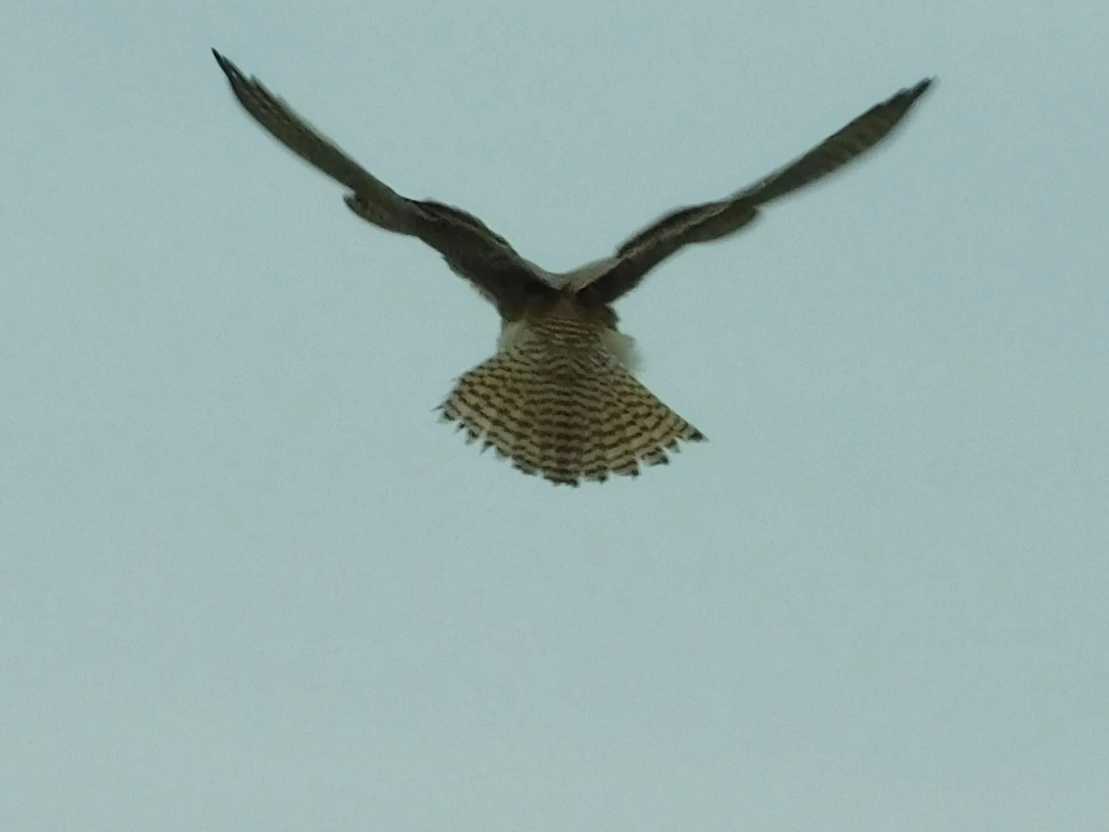 Hovering
