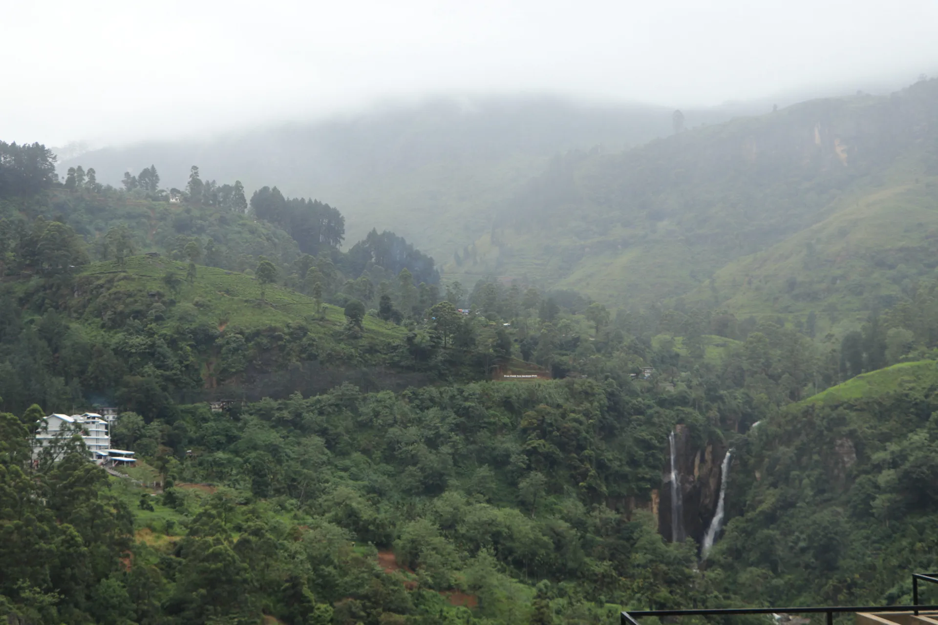 Overlooking wilderness