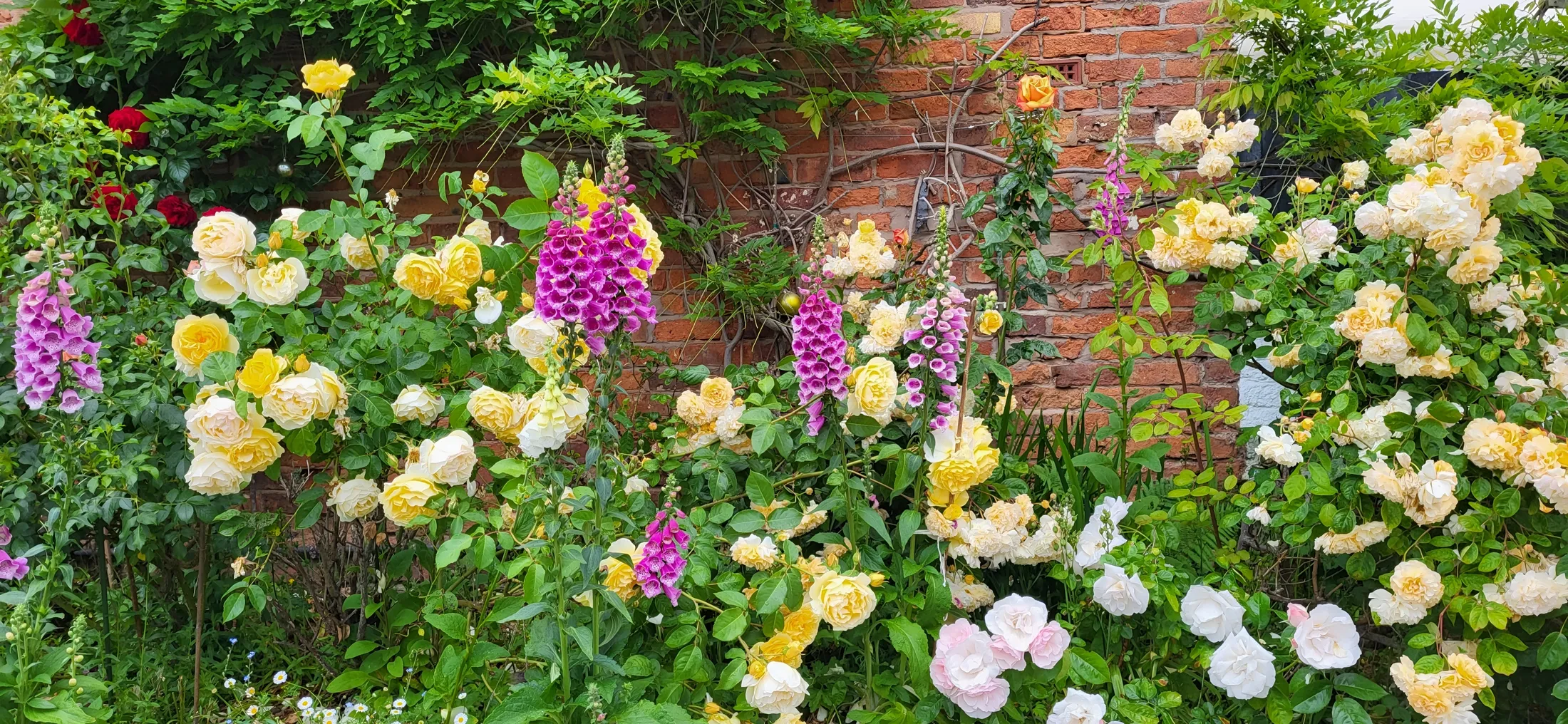 Spring Flower Border 🌸🌼