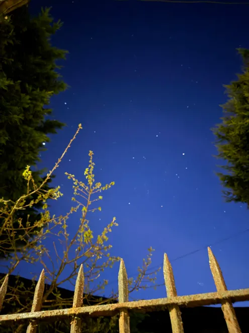 Blue Night