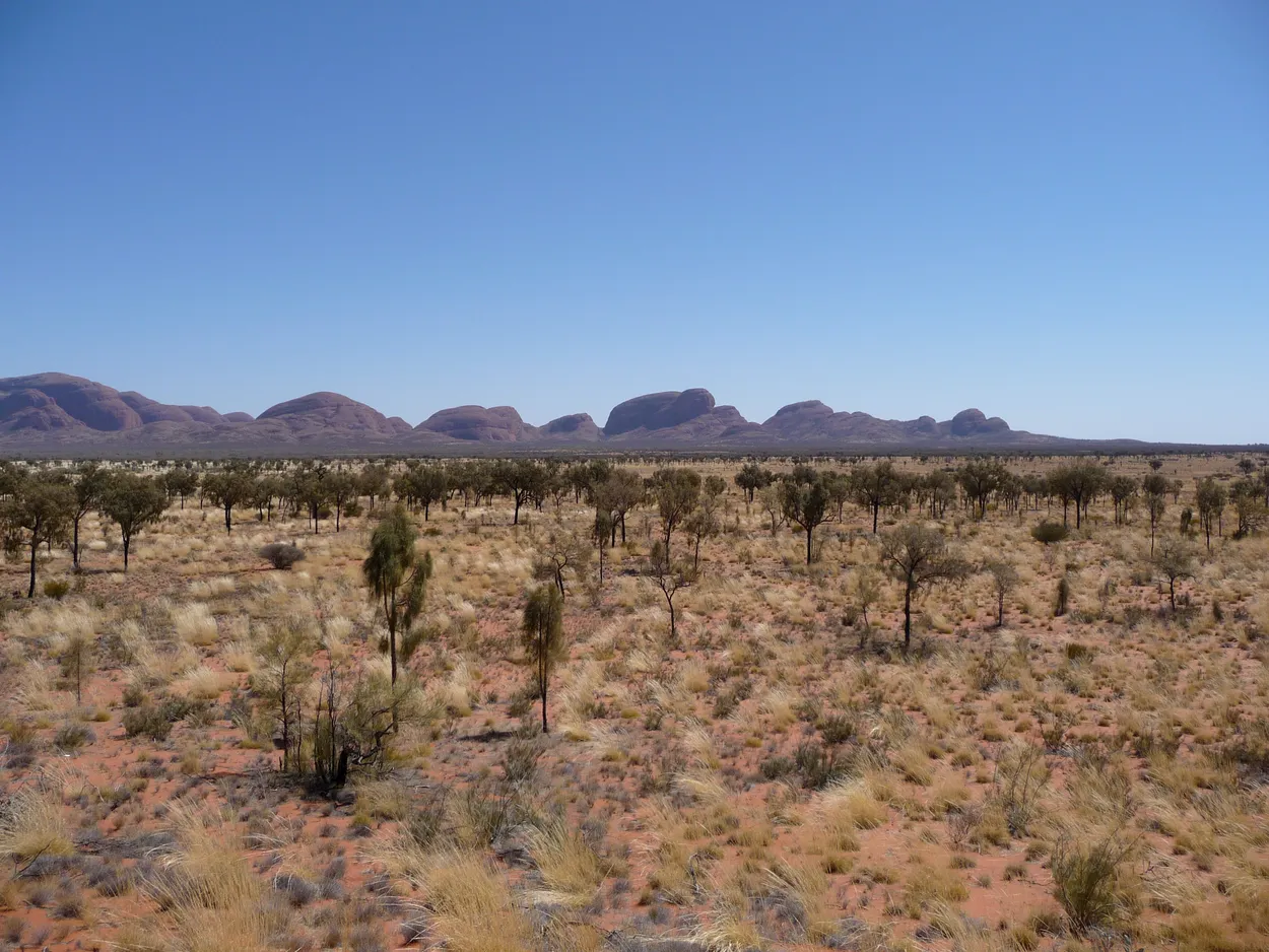 Australian outback