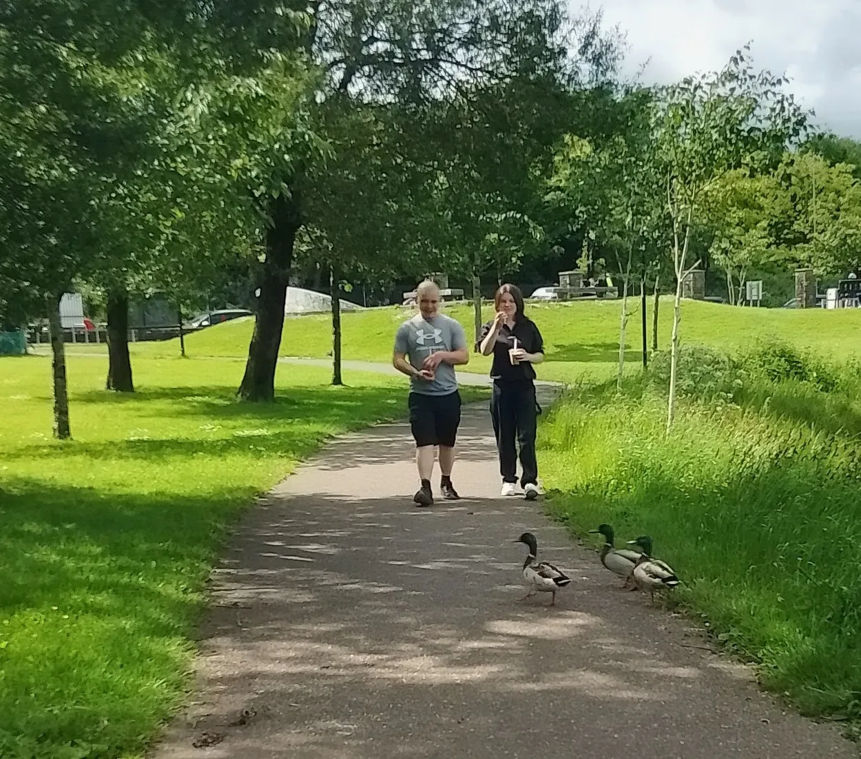 Don't Cross The Ducks