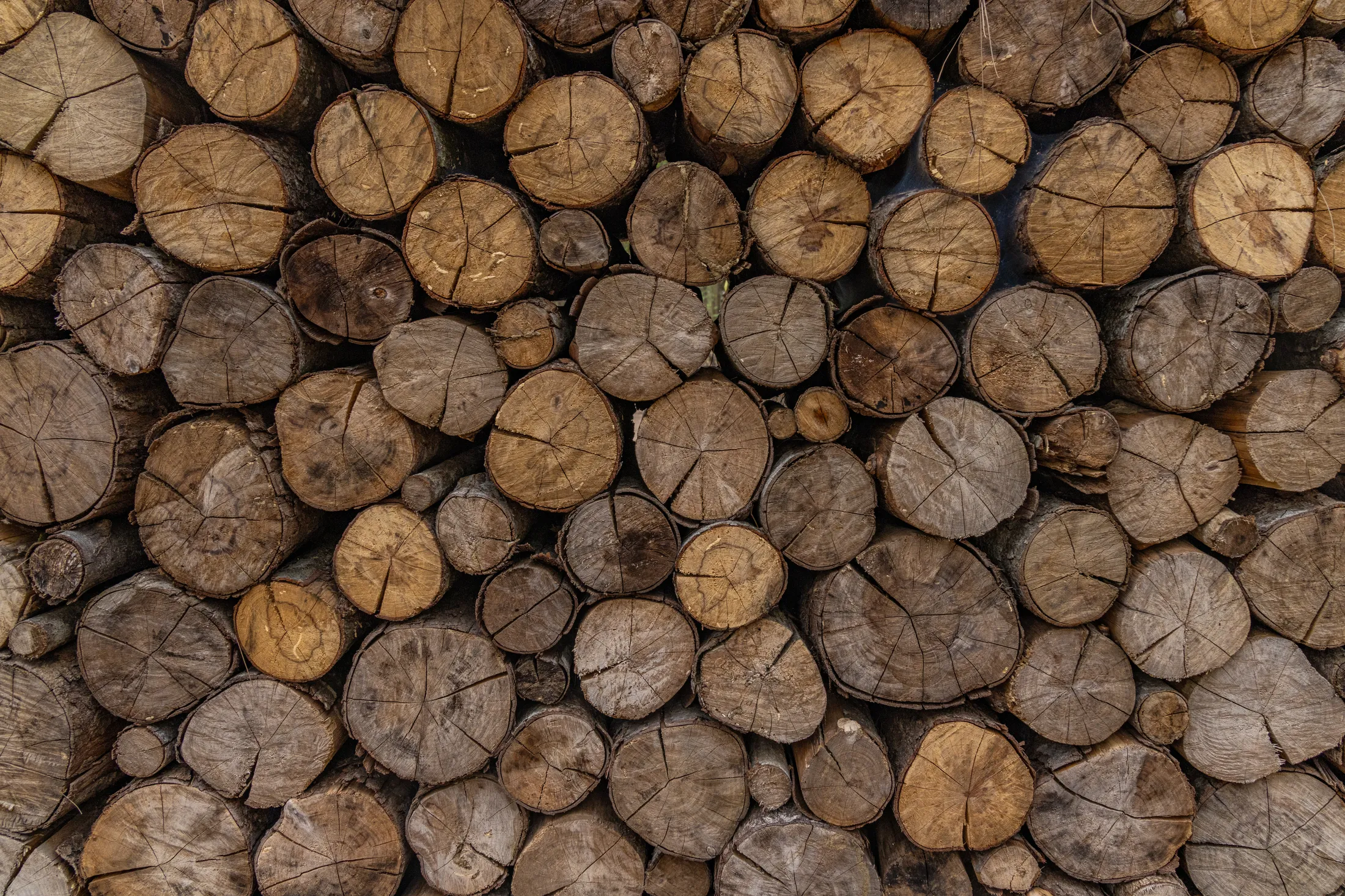 wooden