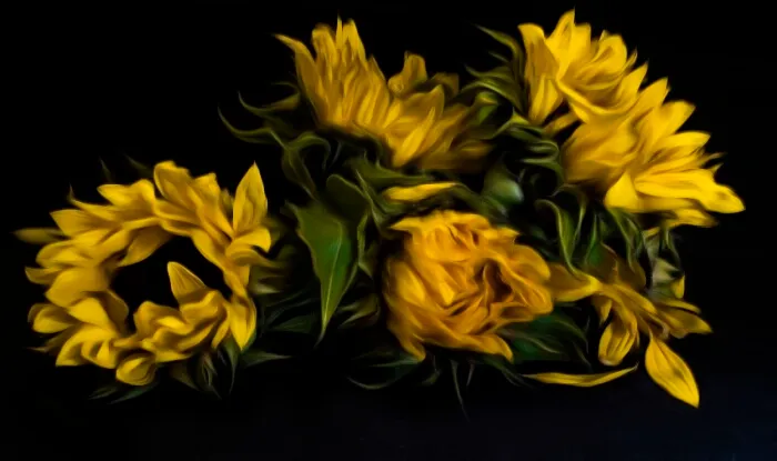 Studio Flowers