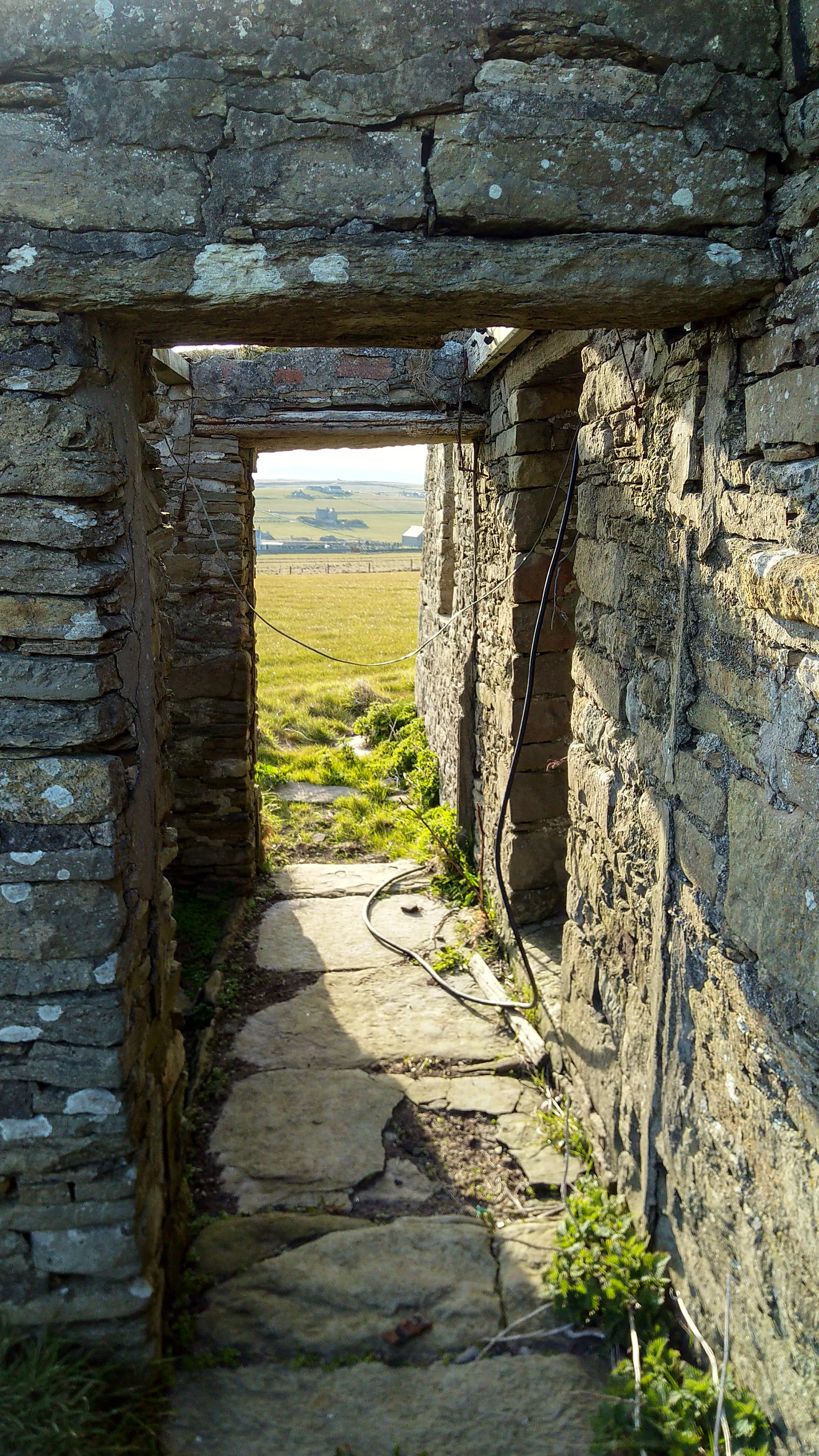 Antique picture framing the Orkney sunlight and view up the island through the porch door.
