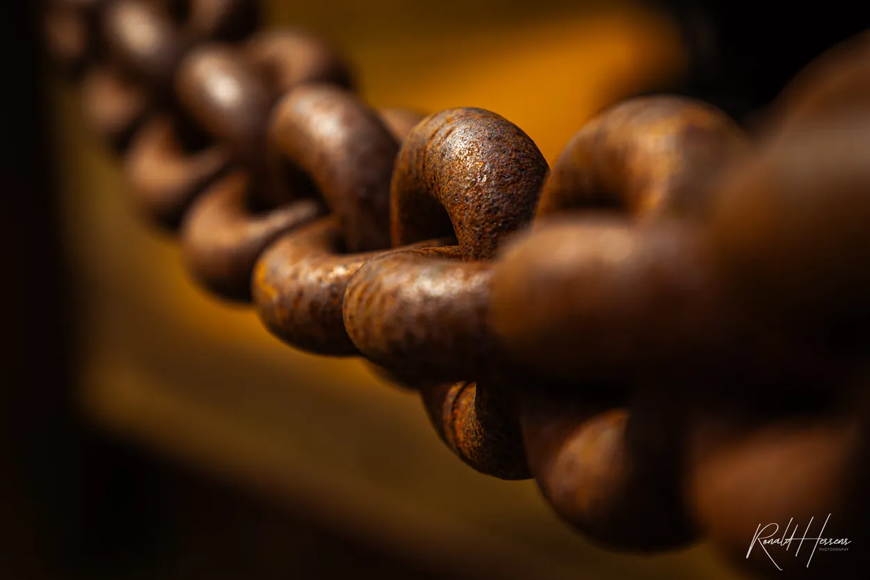 Heavy Chain