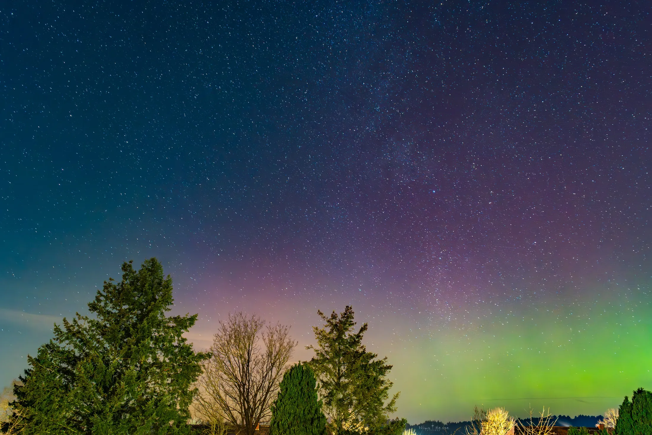 Starry Skies